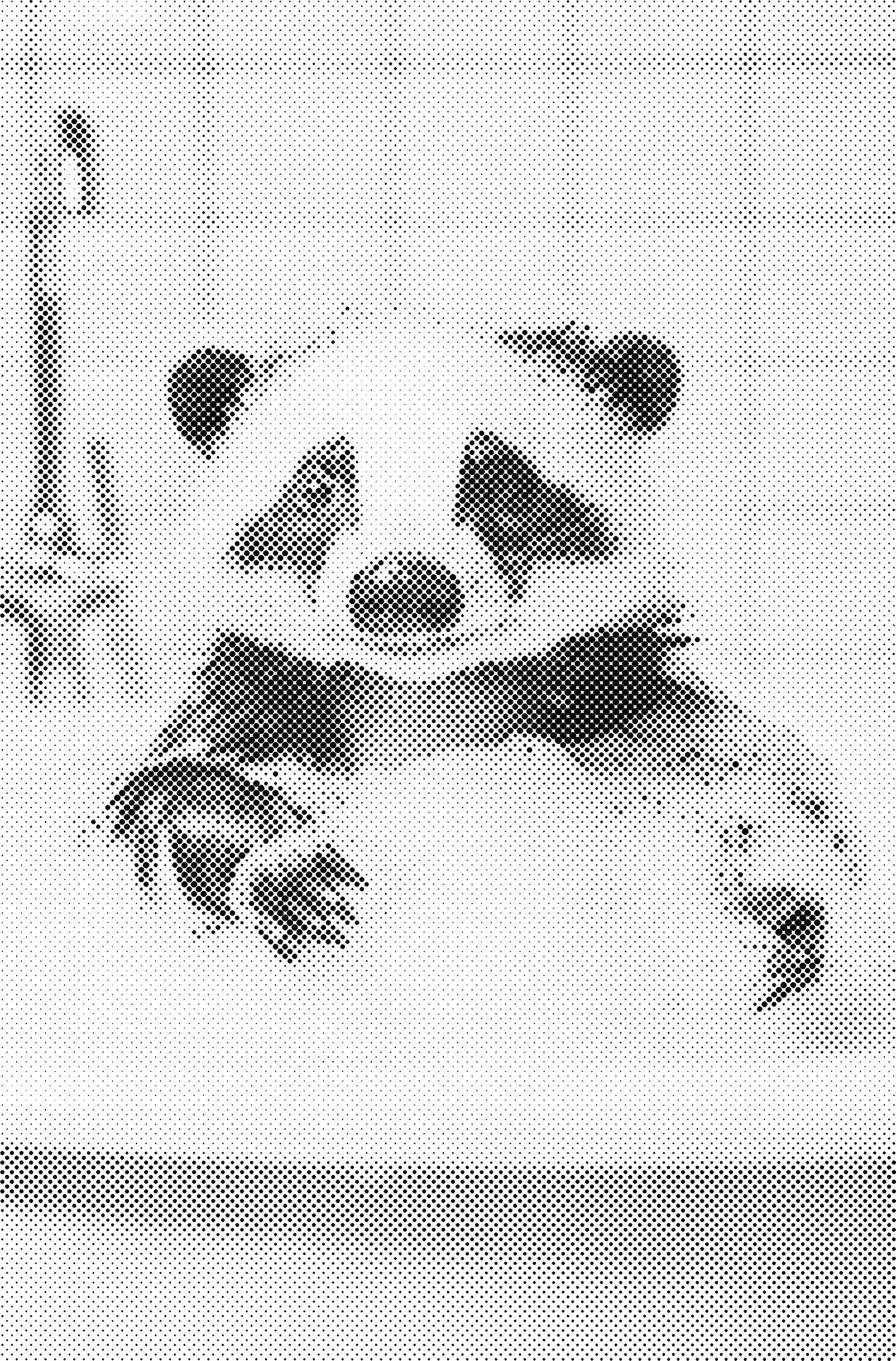 DOT Painting – Dieren in Bad (40x60cm / 50x75cm / 60x90cm)