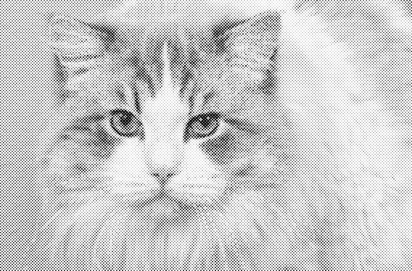 DOT Painting Kattenrassen