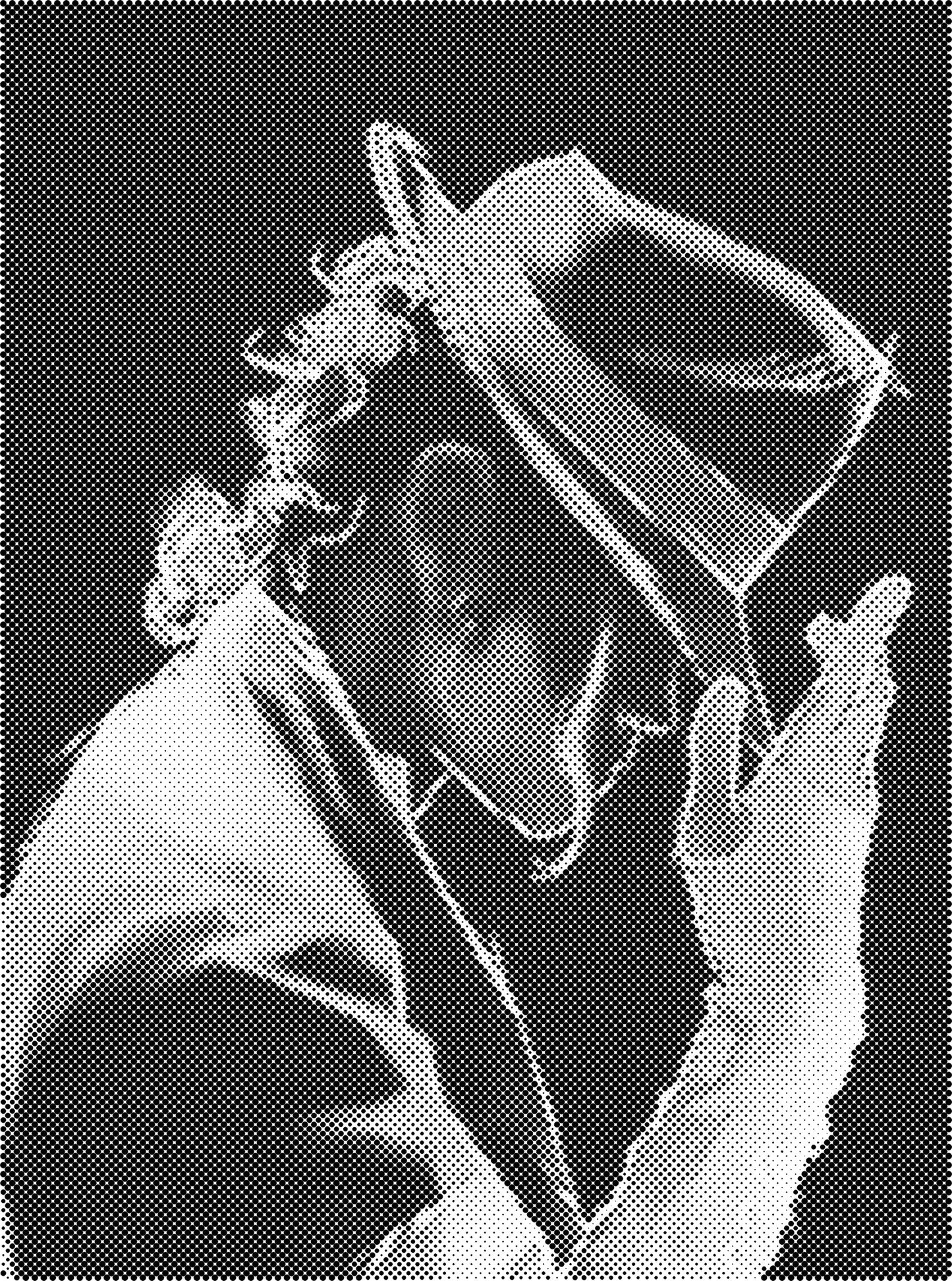 DOT Painting - Dikke Dames en Vrouwelijke Portretten