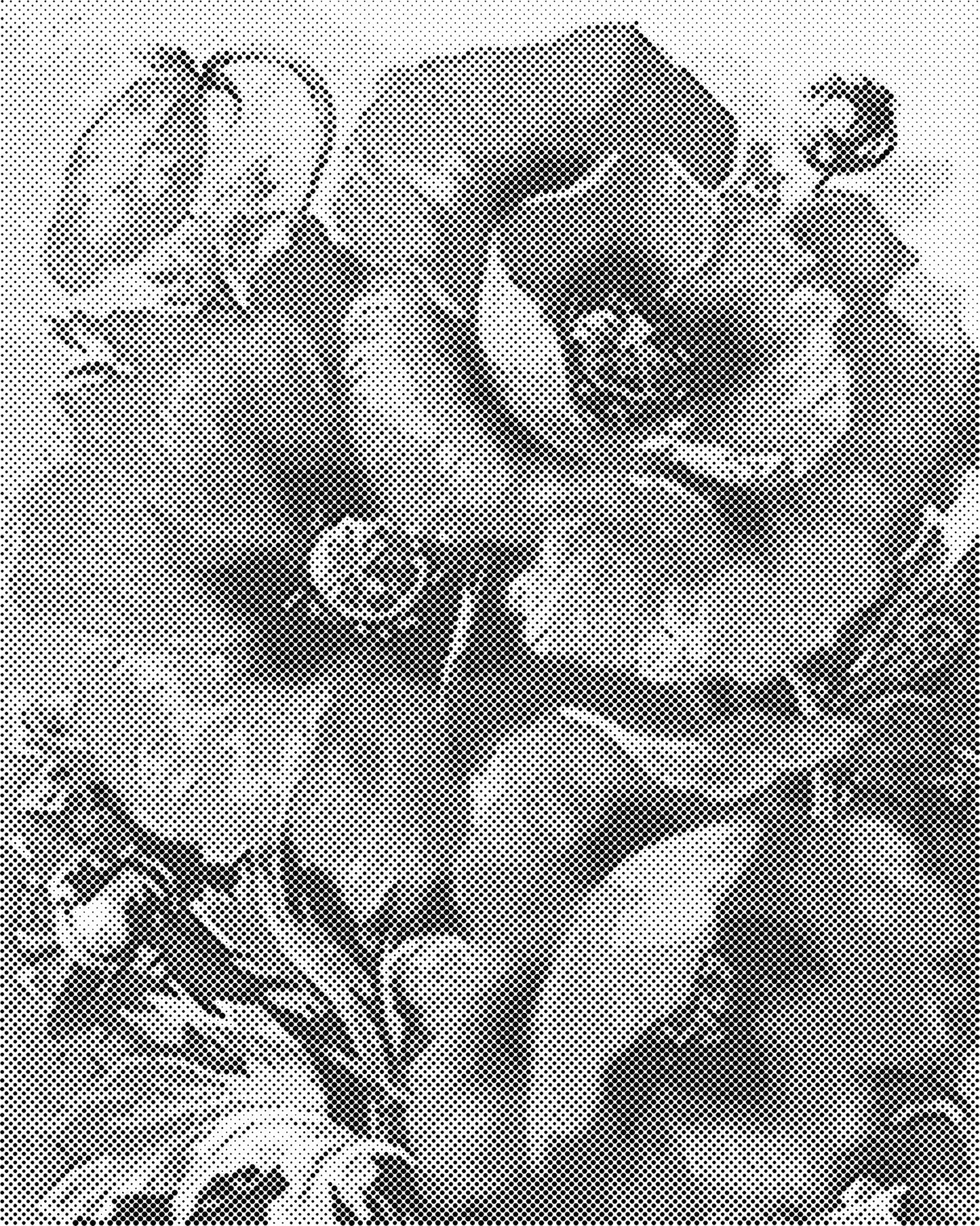 DOT Painting 40x50cm - Bloemen en Planten in Één Kleur