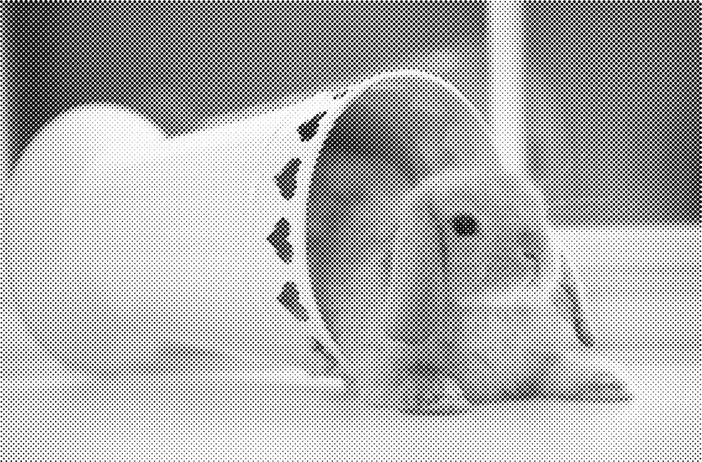 DOT Painting Dieren - Konijnen, Puppies en Katten - Verkrijgbaar in 40x60cm, 50x75cm en 60x90cm