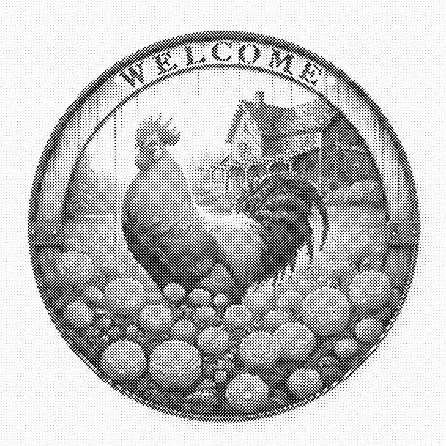 DOT Painting – Kippen & Hanen (40x40cm, 50x50cm of 60x60cm)