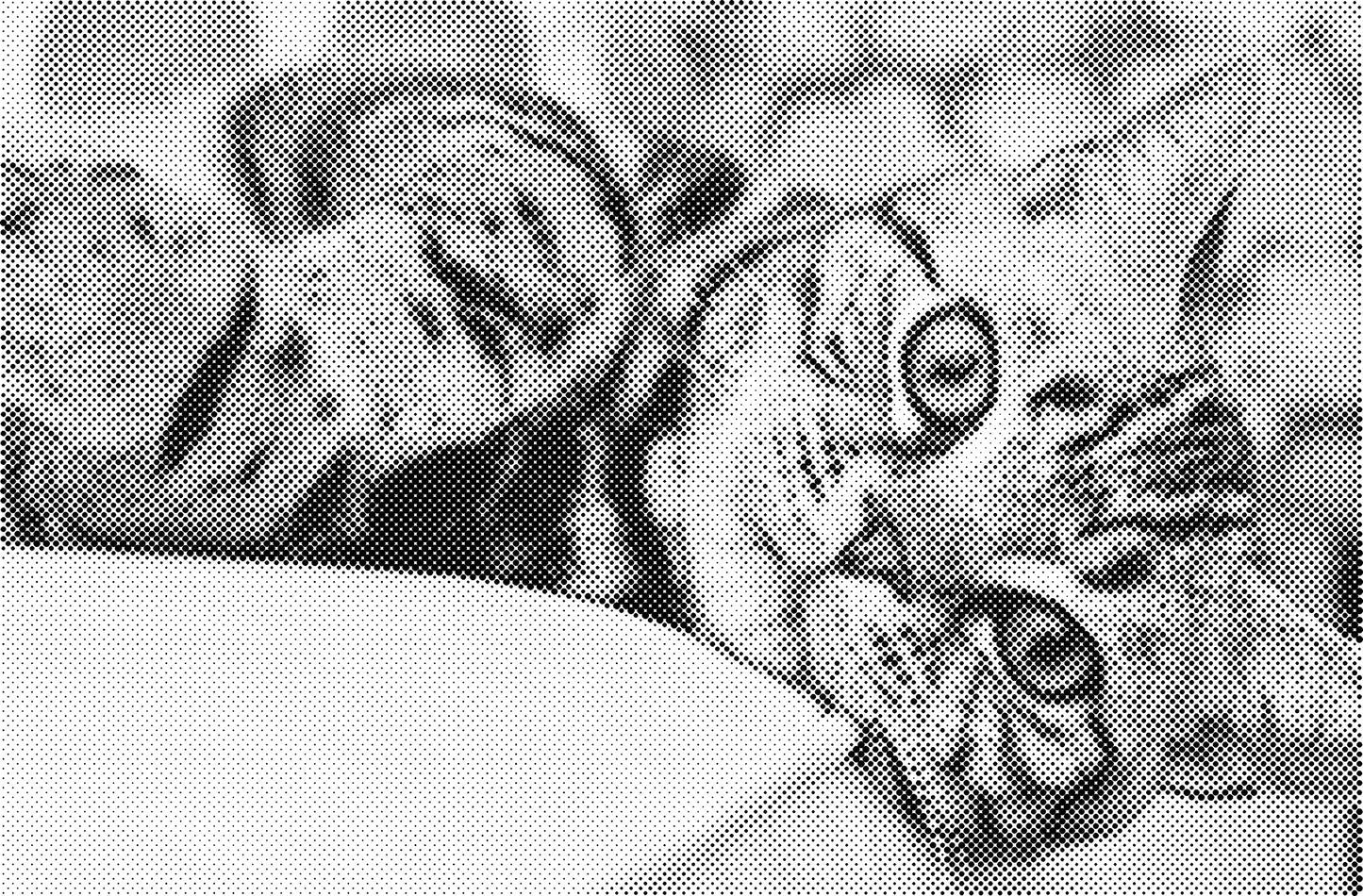 DOT Painting Dieren - (Paarden, Giraf, Vogels) - Verkrijgbaar in 40x60cm, 50x75cm, 60x90cm