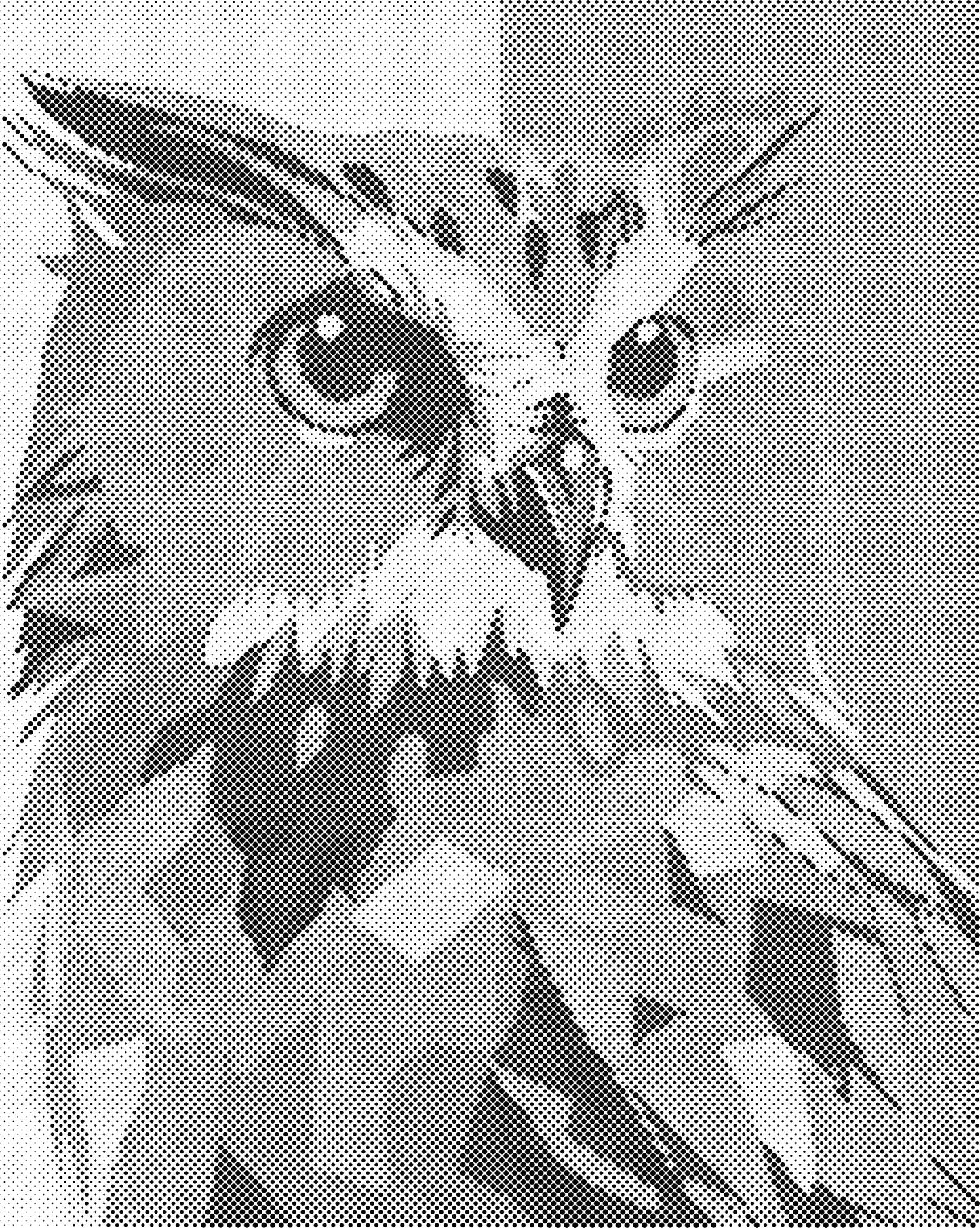 DOT Painting - Dieren op Canvas (40x50cm / 60x75cm)