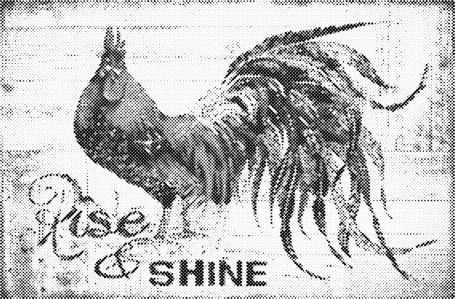 DOT Painting – Kippen & Hanen – 40x60cm t/m 60x90cm – Met of zonder stiften