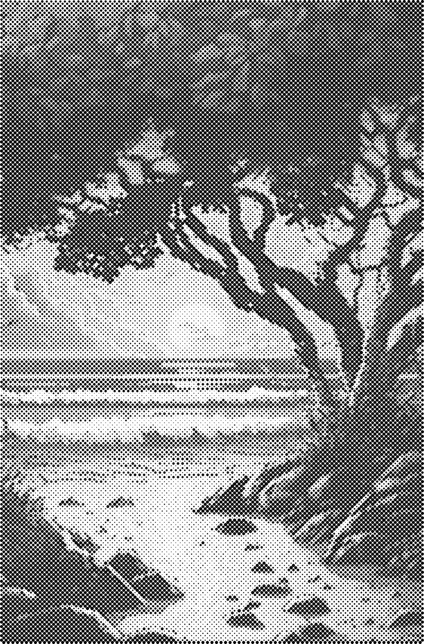 DOT Painting Landschappen en Gebouwen – Voorbedrukt Canvas (40x60cm, 50x75cm, 60x90cm)