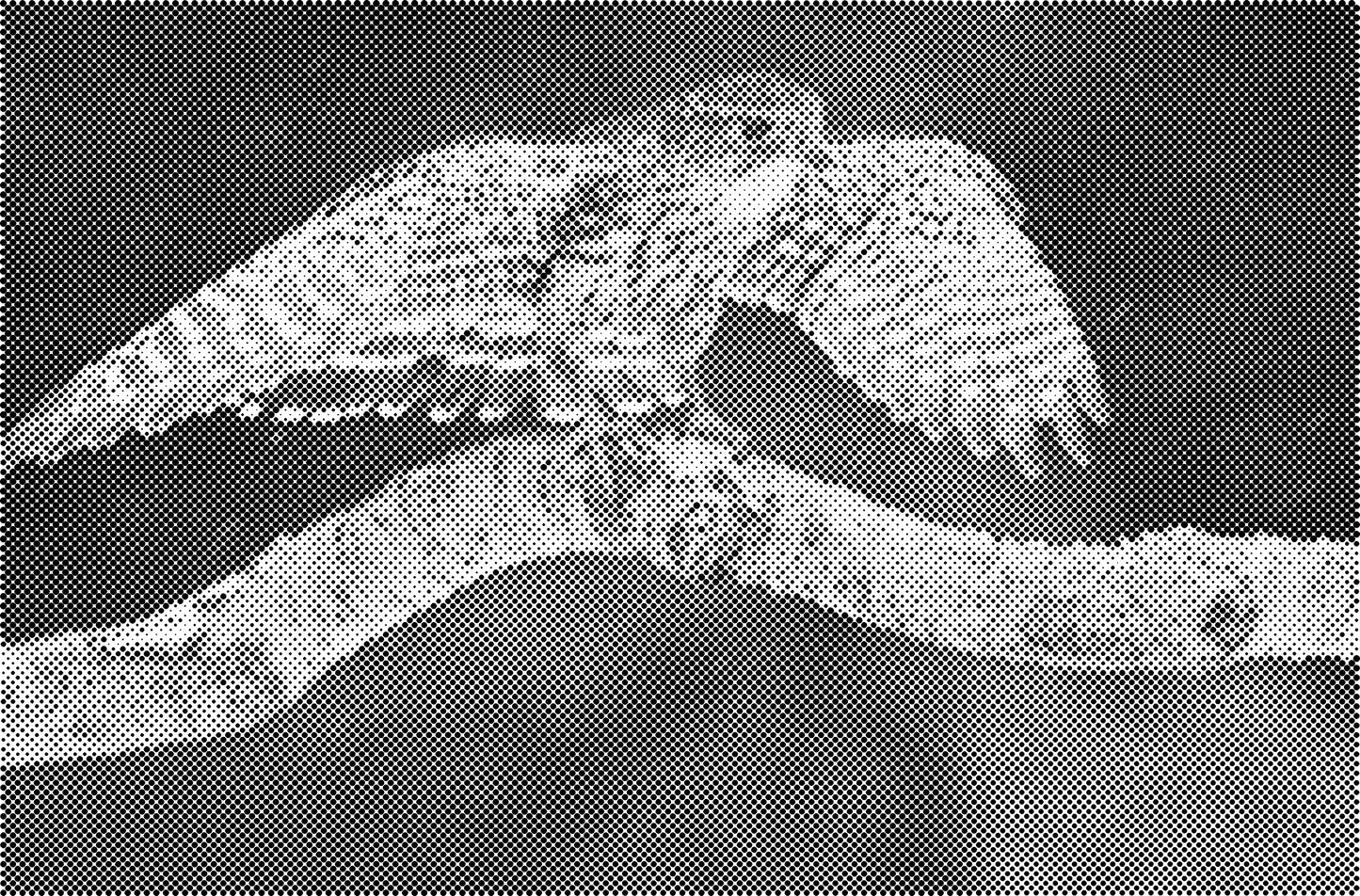 DOT Painting Dieren - (Paarden, Giraf, Vogels) - Verkrijgbaar in 40x60cm, 50x75cm, 60x90cm