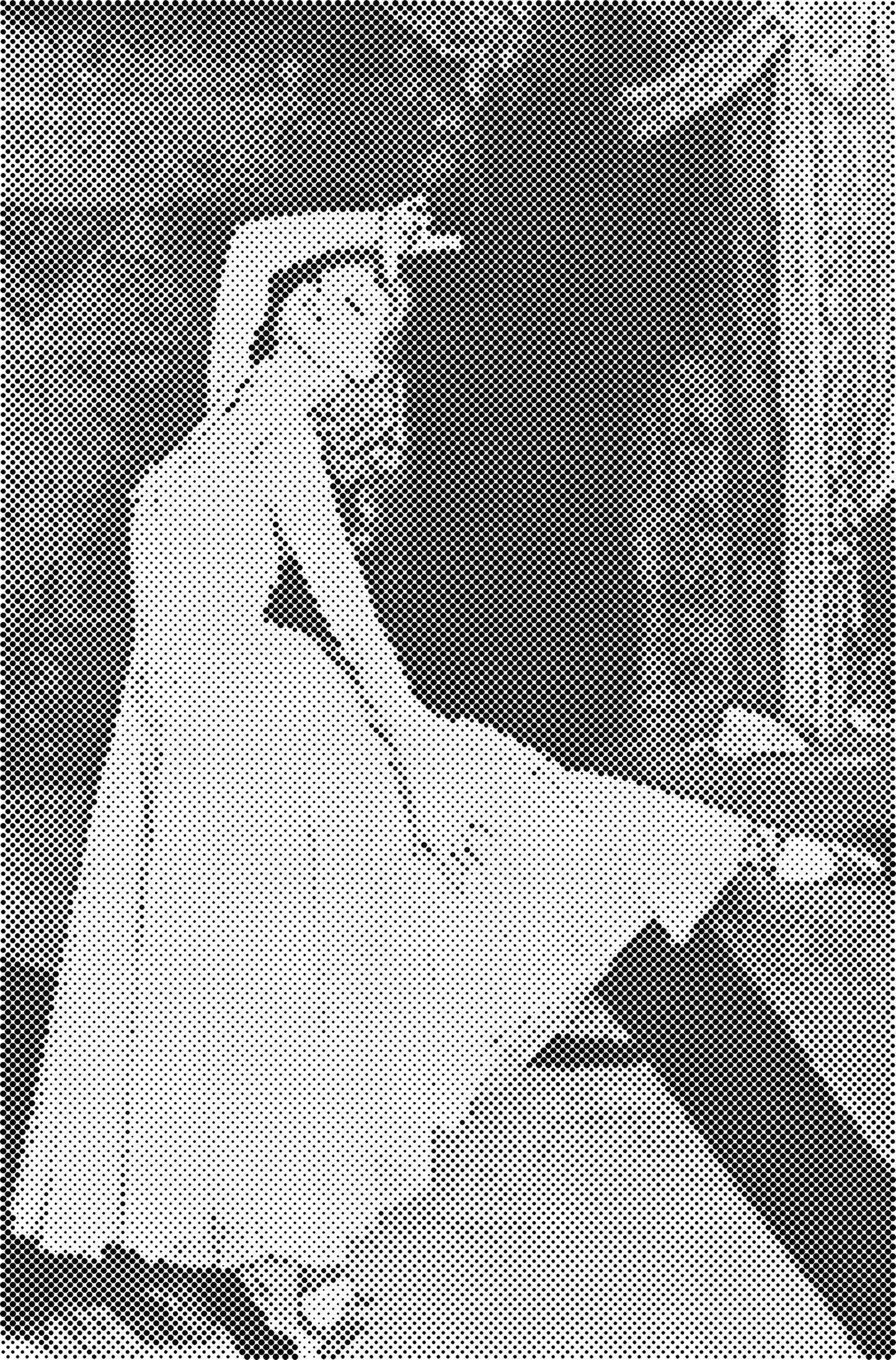 DOT Painting Portretten – Kunstzinnig Stippenwerk op Canvas