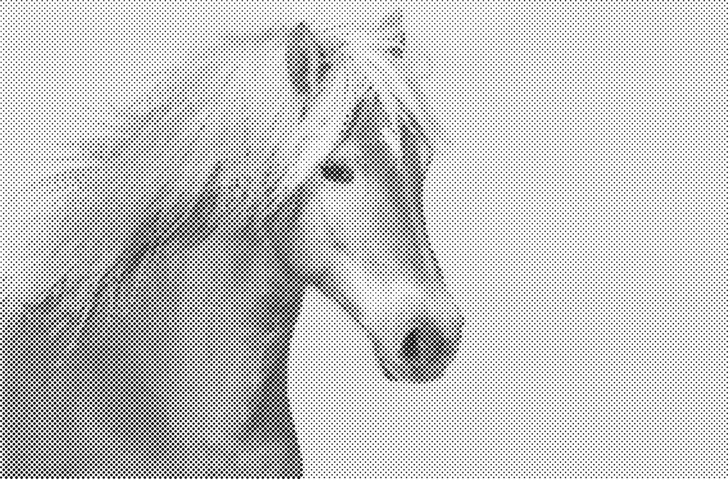 DOT Painting Dieren - (Paarden, Giraf, Vogels) - Verkrijgbaar in 40x60cm, 50x75cm, 60x90cm