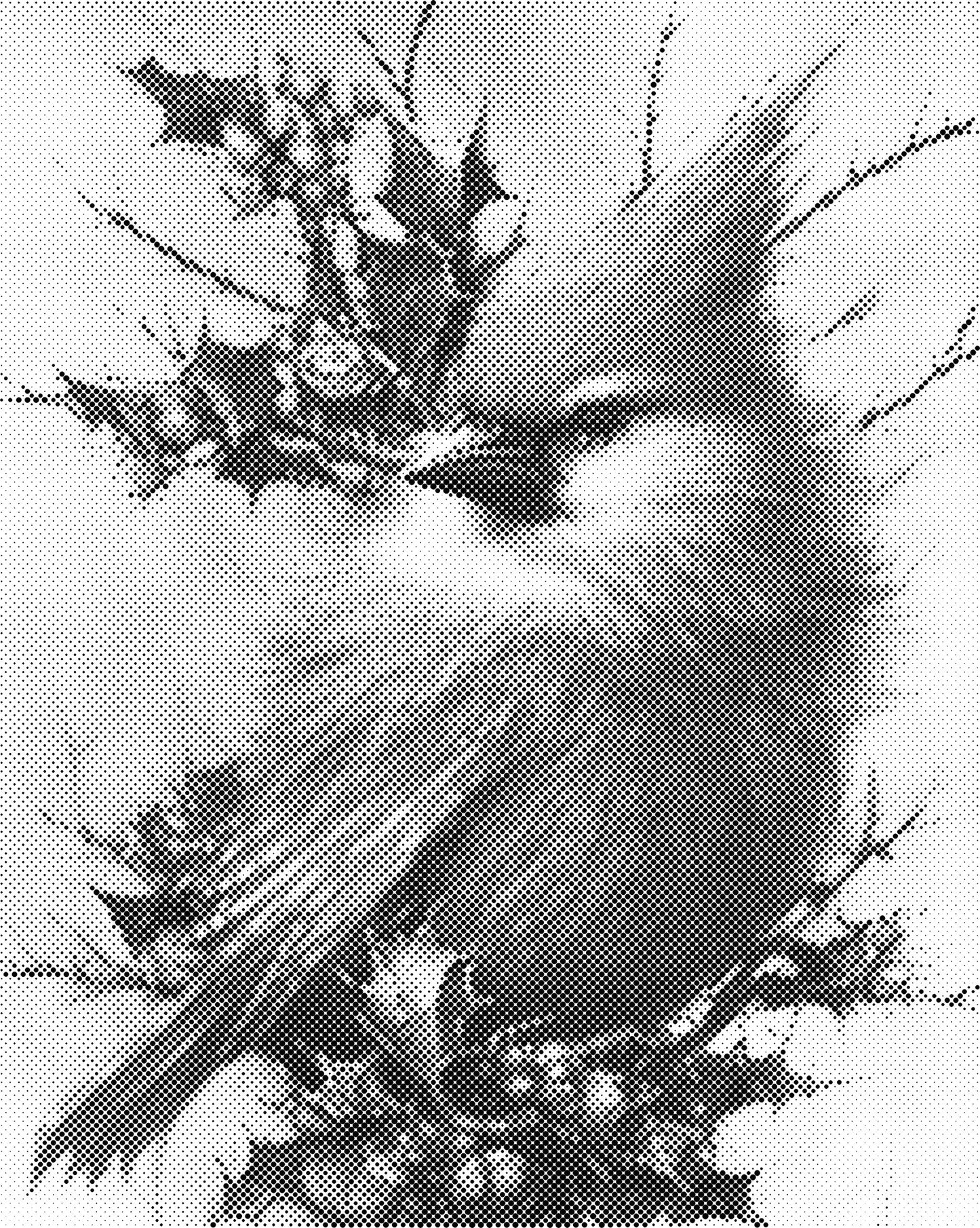 DOT Painting - Dieren op Canvas (40x50cm / 60x75cm)