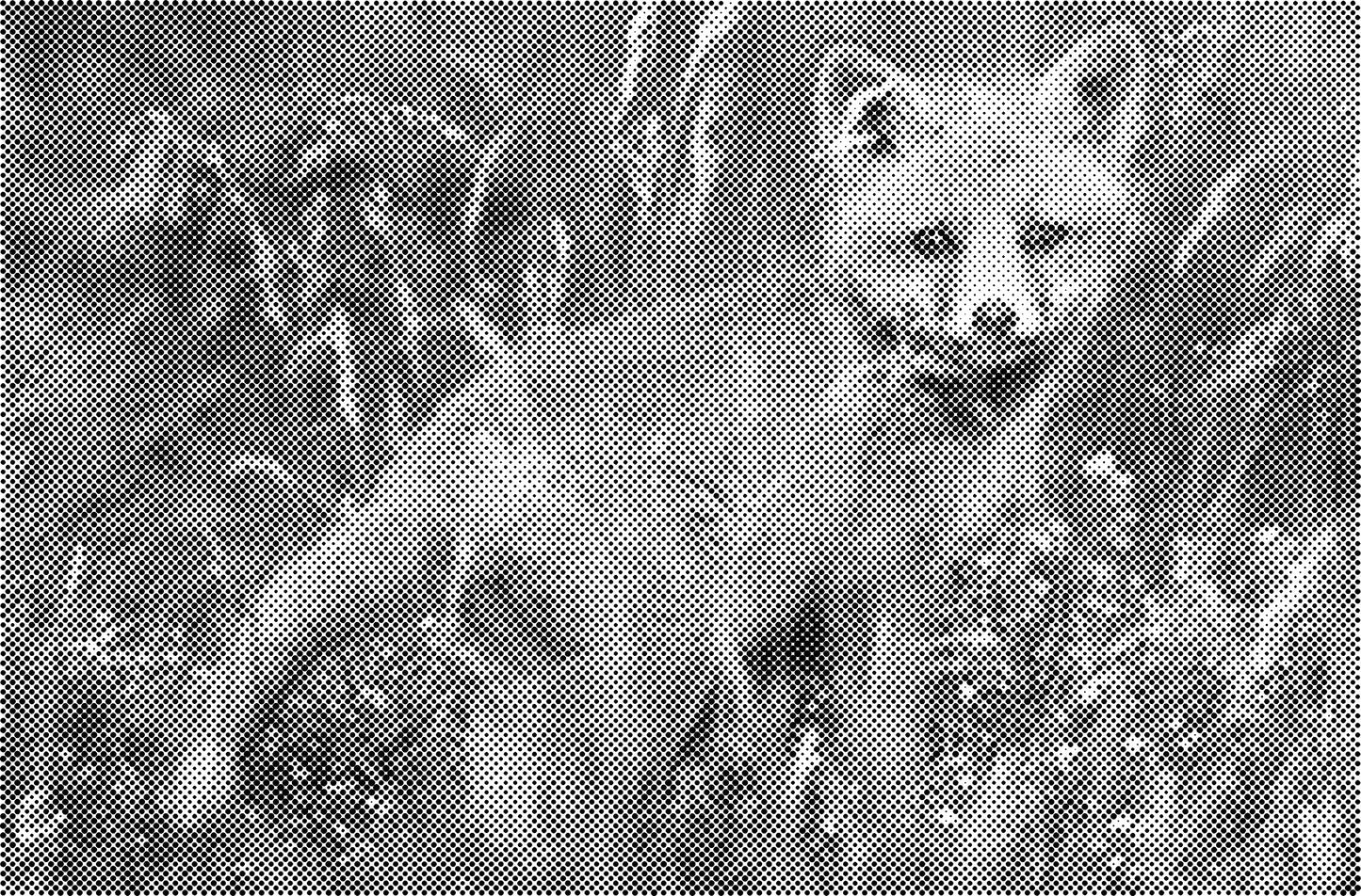 DOT Painting Katten - Verkrijgbaar in 40x60cm, 50x75cm en 60x90cm