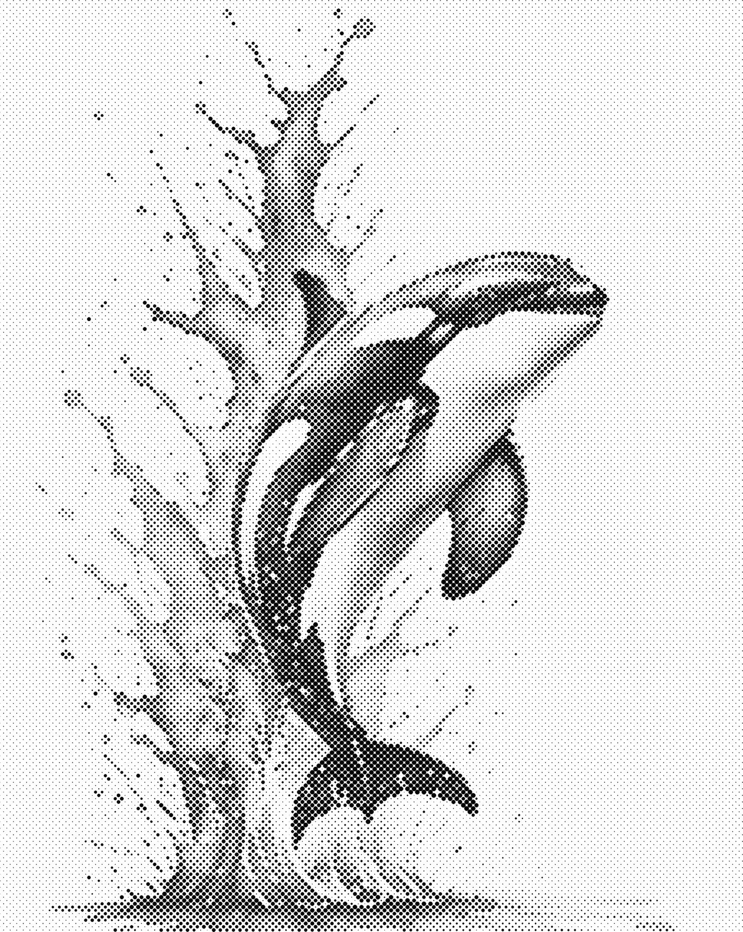 DOT Painting – Dieren op Canvas (40x50cm of 60x75cm) – Met of zonder stiften