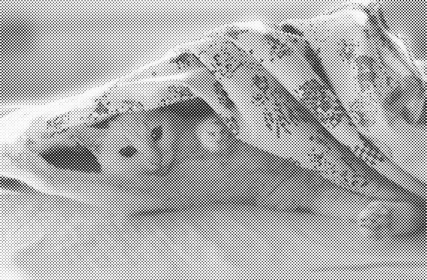 DOT Painting Dieren - Katten en Vogels