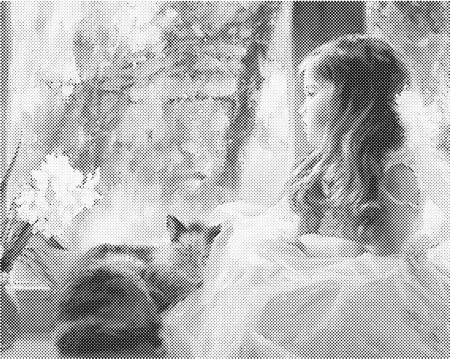 DOT Painting – Vrouwen | 40x50cm of 60x75cm