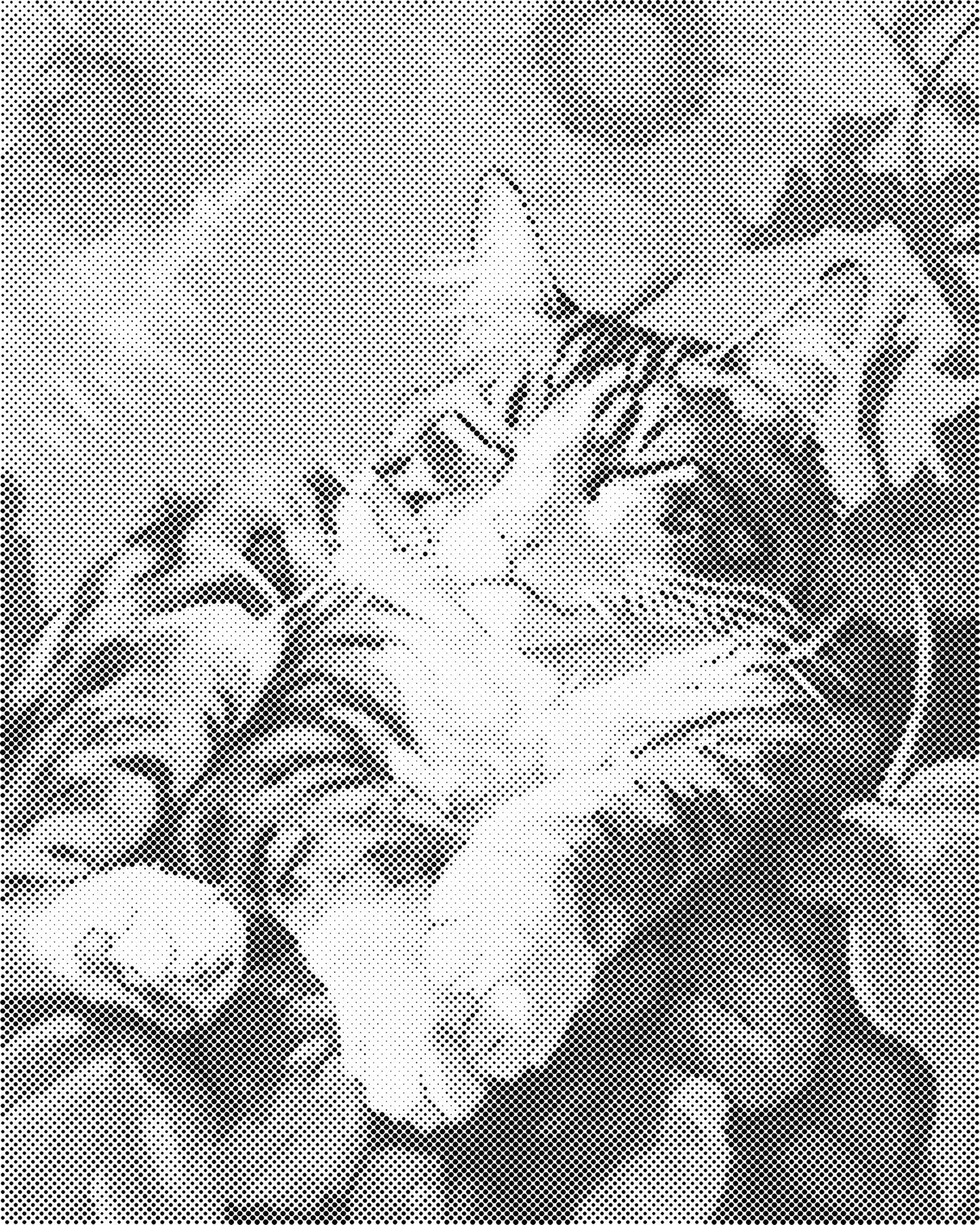 DOT Painting - Dieren op Canvas (40x50cm / 60x75cm)