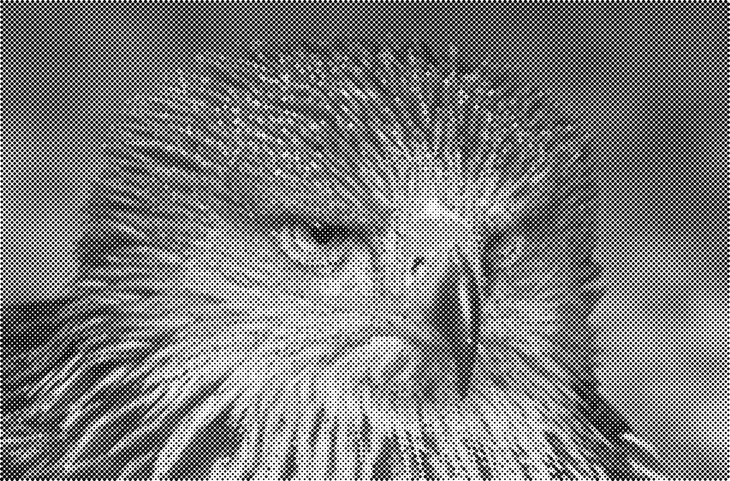 DOT Painting Honden, Eenden en Vogels - Verkrijgbaar in 40x60cm, 50x75cm, en 60x90cm