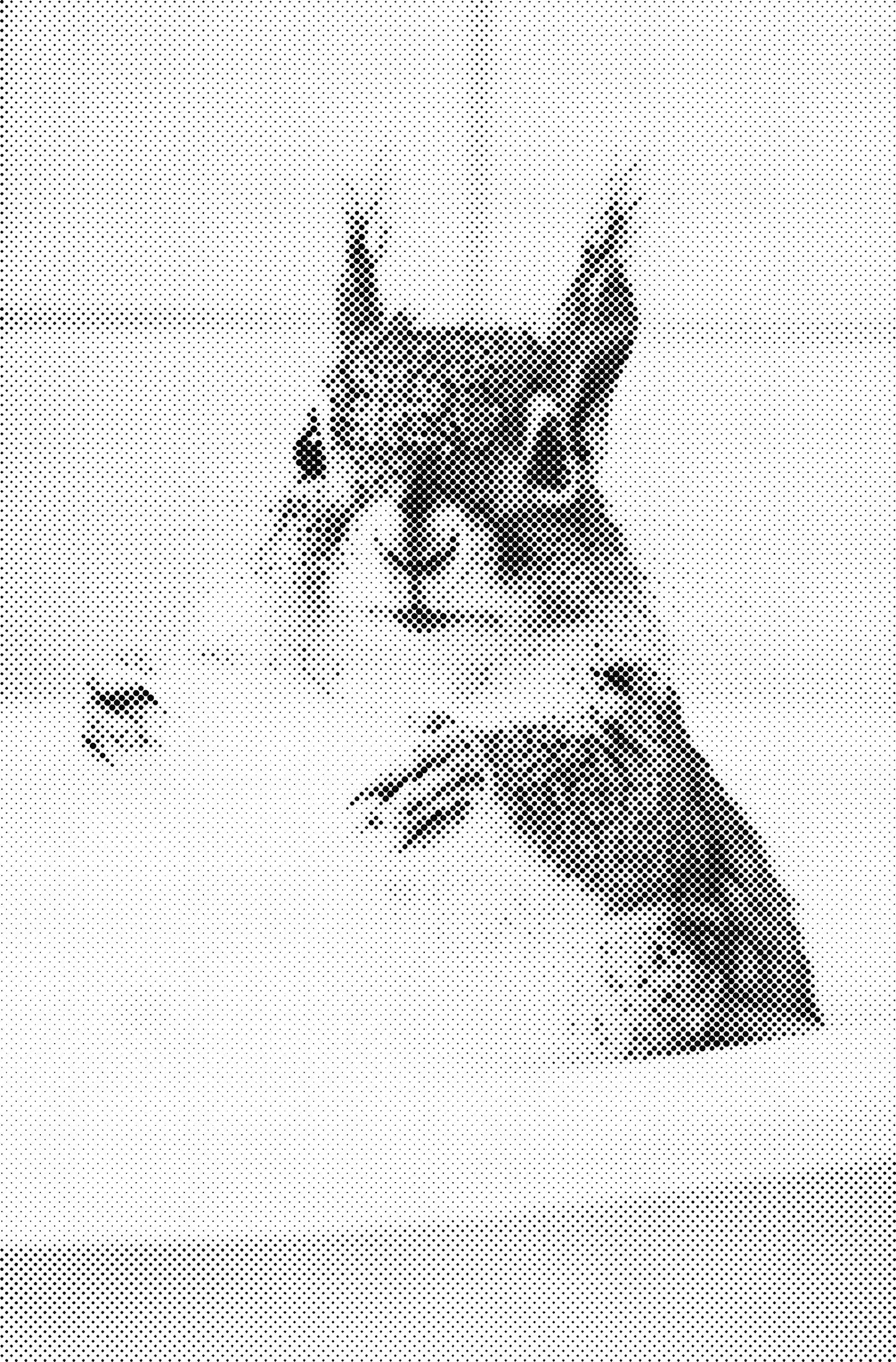 DOT Painting – Dieren in Bad (40x60cm / 50x75cm / 60x90cm)