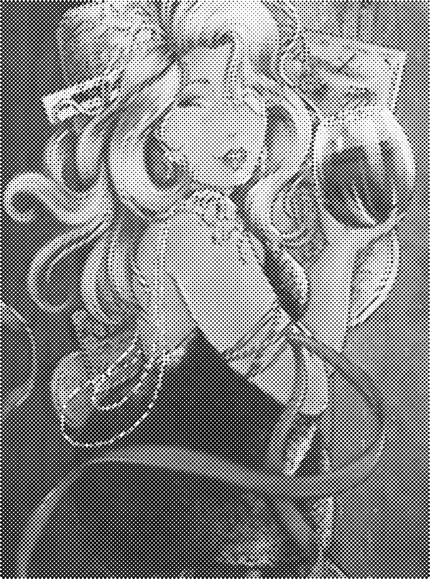 DOT Painting - Dikke Dames en Vrouwelijke Portretten