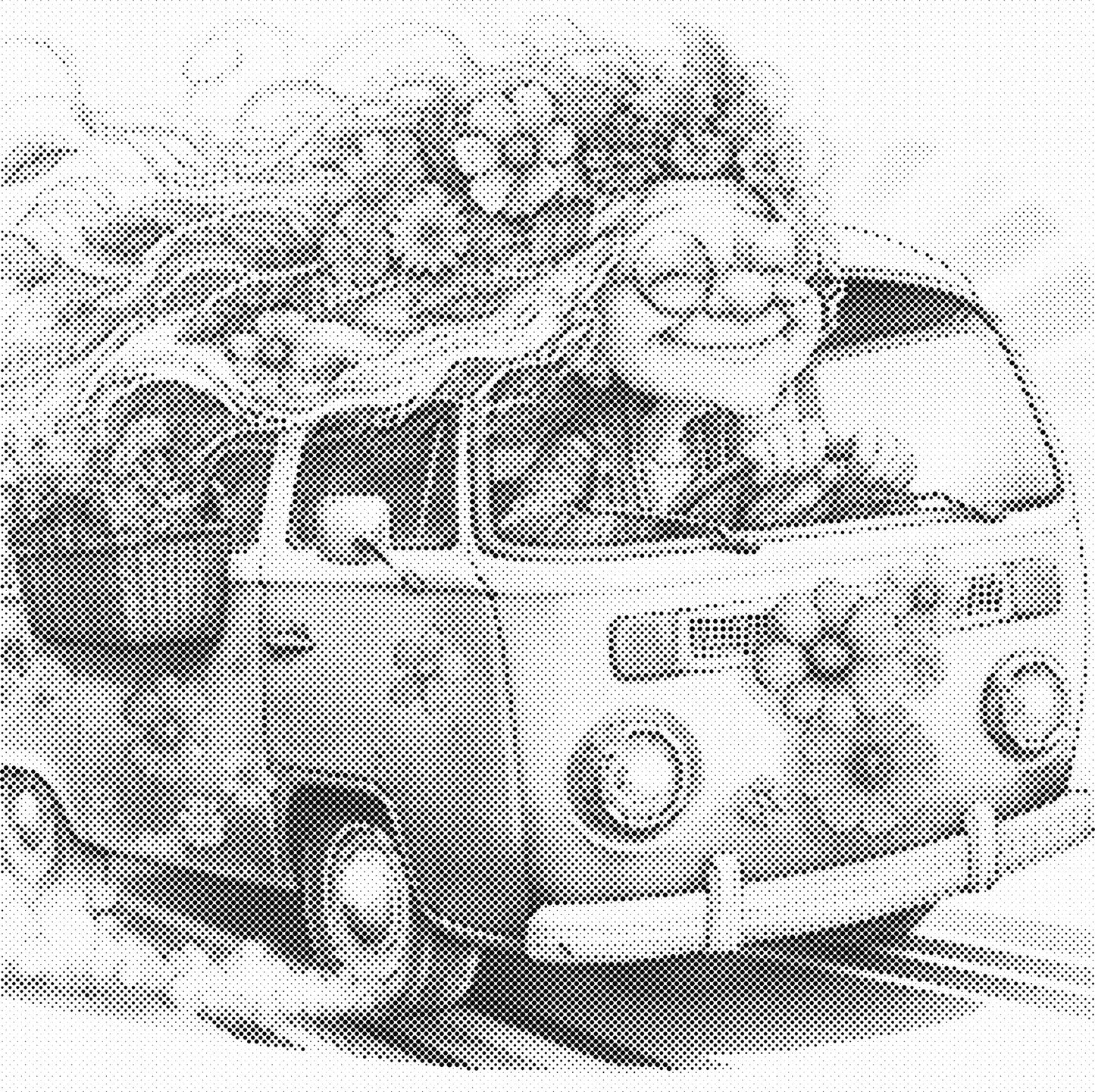 DOT Painting - Gekke Oma's (40x40cm t/m 60x60cm) – Met of zonder stiften