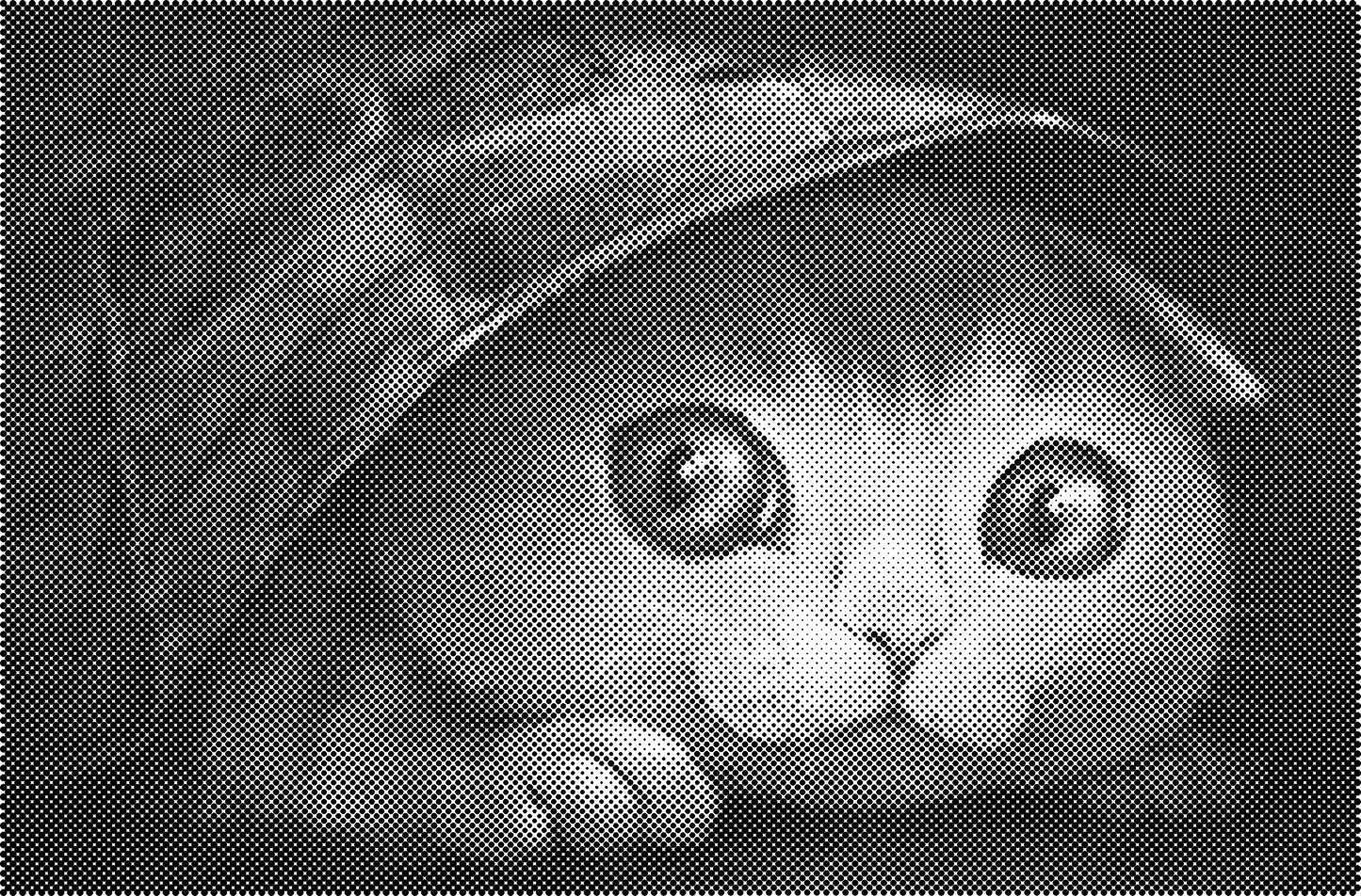 DOT Painting Dieren - Katten en Vogels