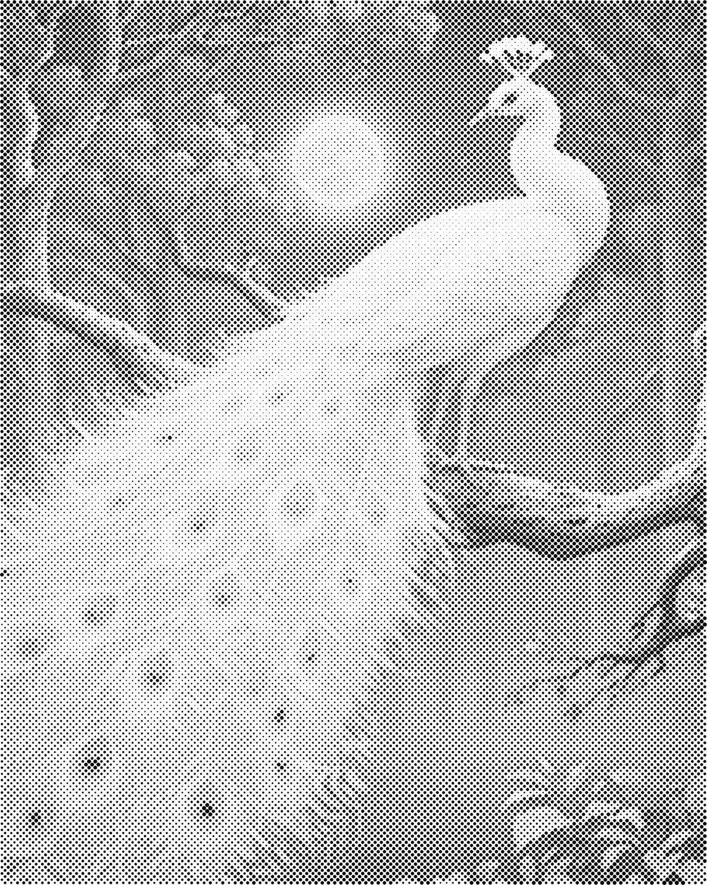 DOT Painting – Dieren op Canvas (40x50cm of 60x75cm) – Met of zonder stiften