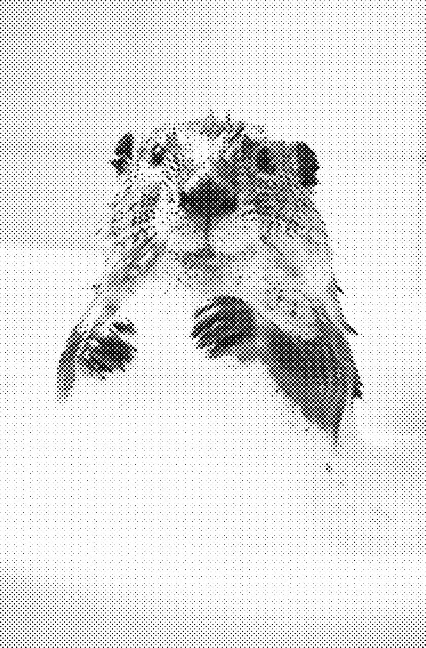 DOT Painting – Dieren in Bad (40x60cm / 50x75cm / 60x90cm)