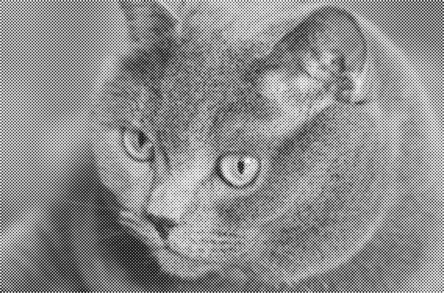 DOT Painting Katten - Verkrijgbaar in 40x60cm, 50x75cm en 60x90cm