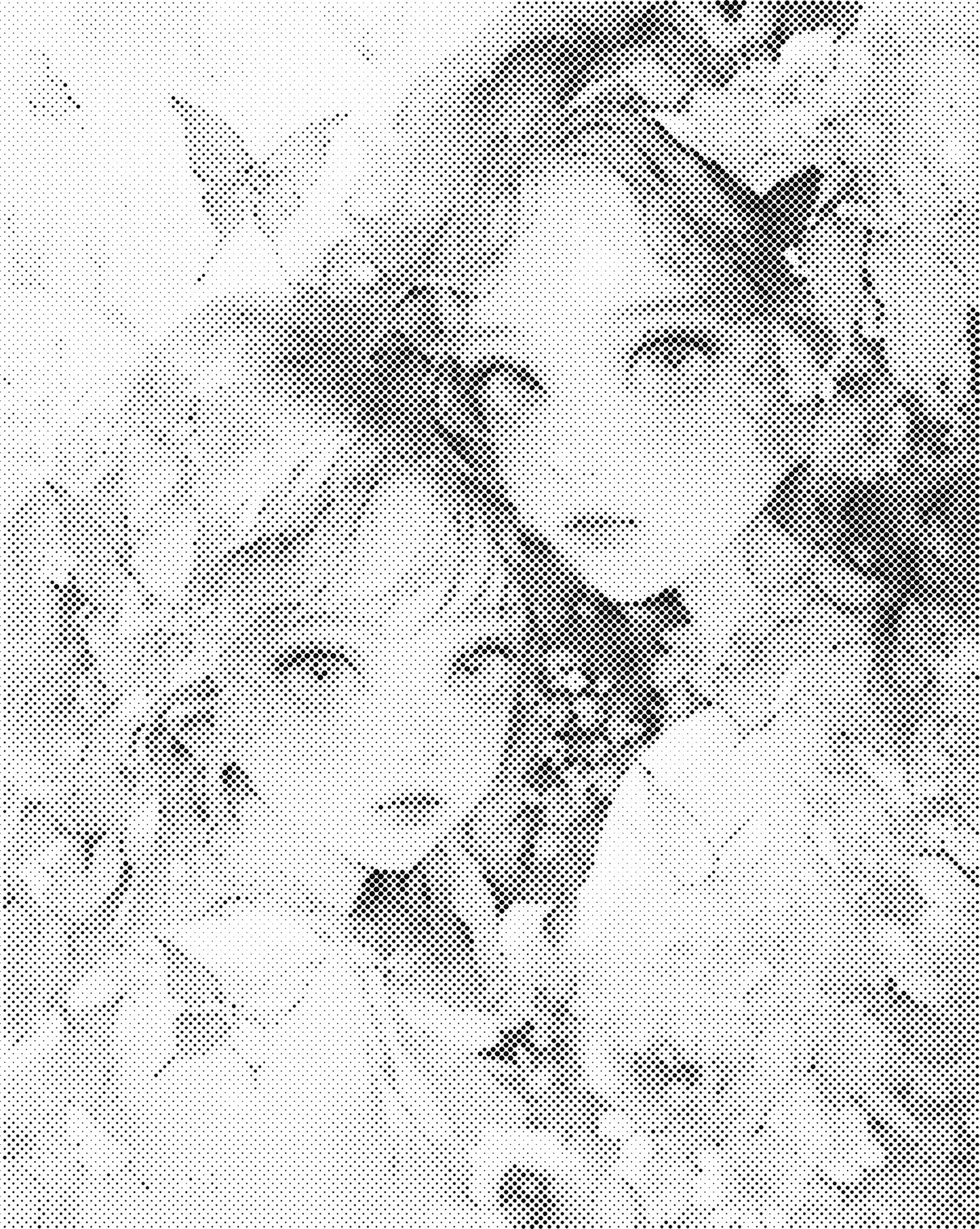 DOT Painting – Vrouwen | 40x50cm of 60x75cm