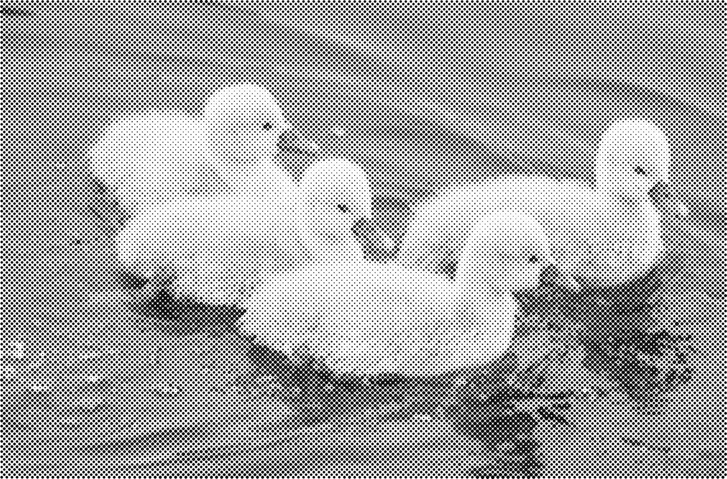 DOT Painting Honden, Eenden en Vogels - Verkrijgbaar in 40x60cm, 50x75cm, en 60x90cm