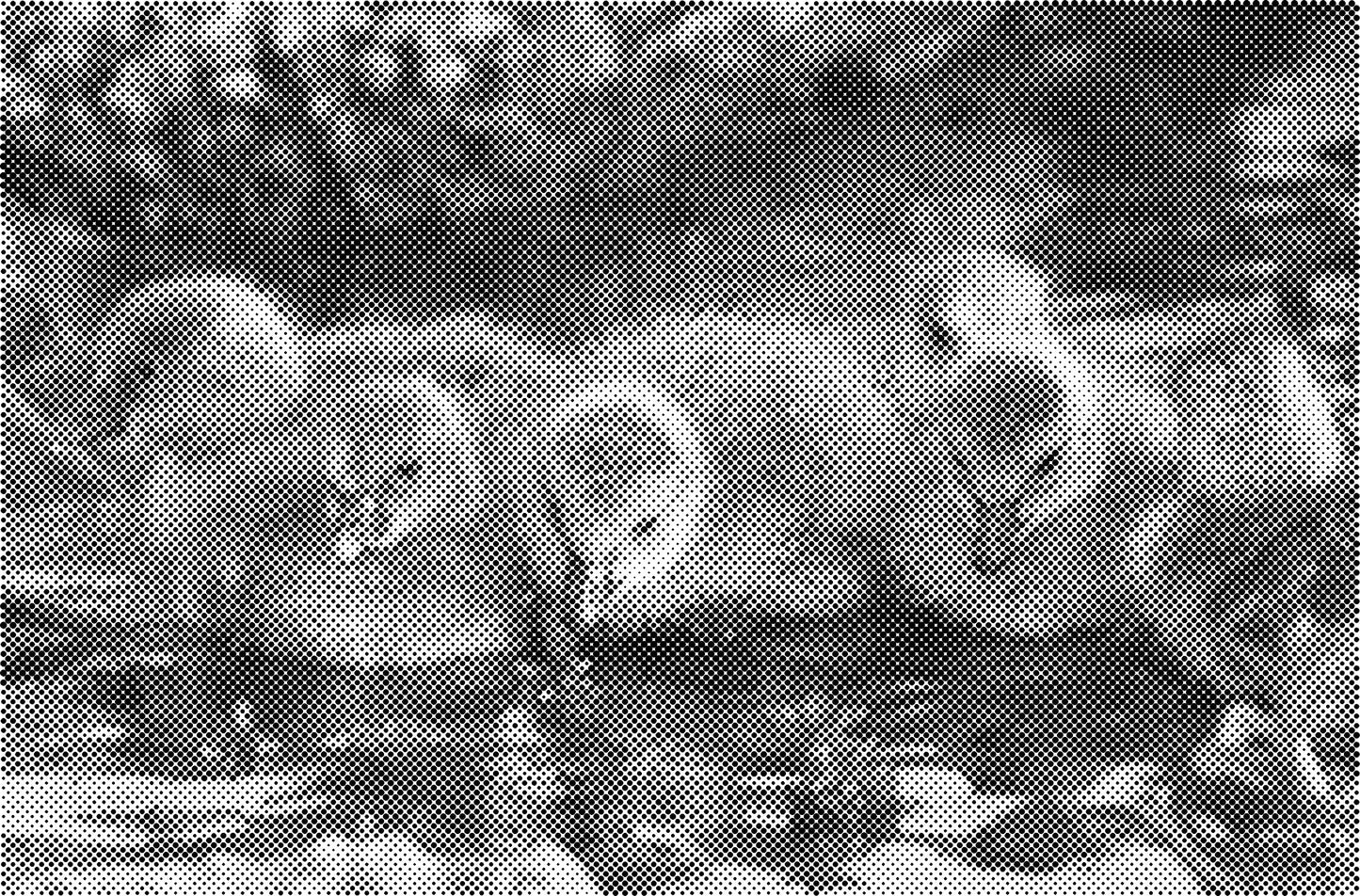 DOT Painting Honden, Eenden en Vogels - Verkrijgbaar in 40x60cm, 50x75cm, en 60x90cm