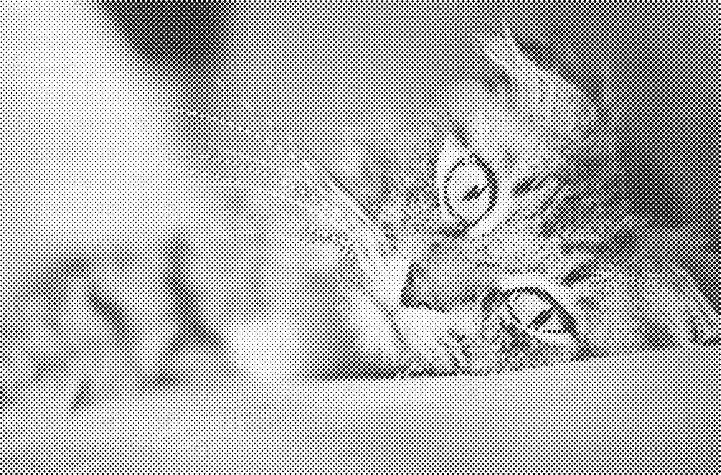 DOT Painting Dieren - Katten en Vogels