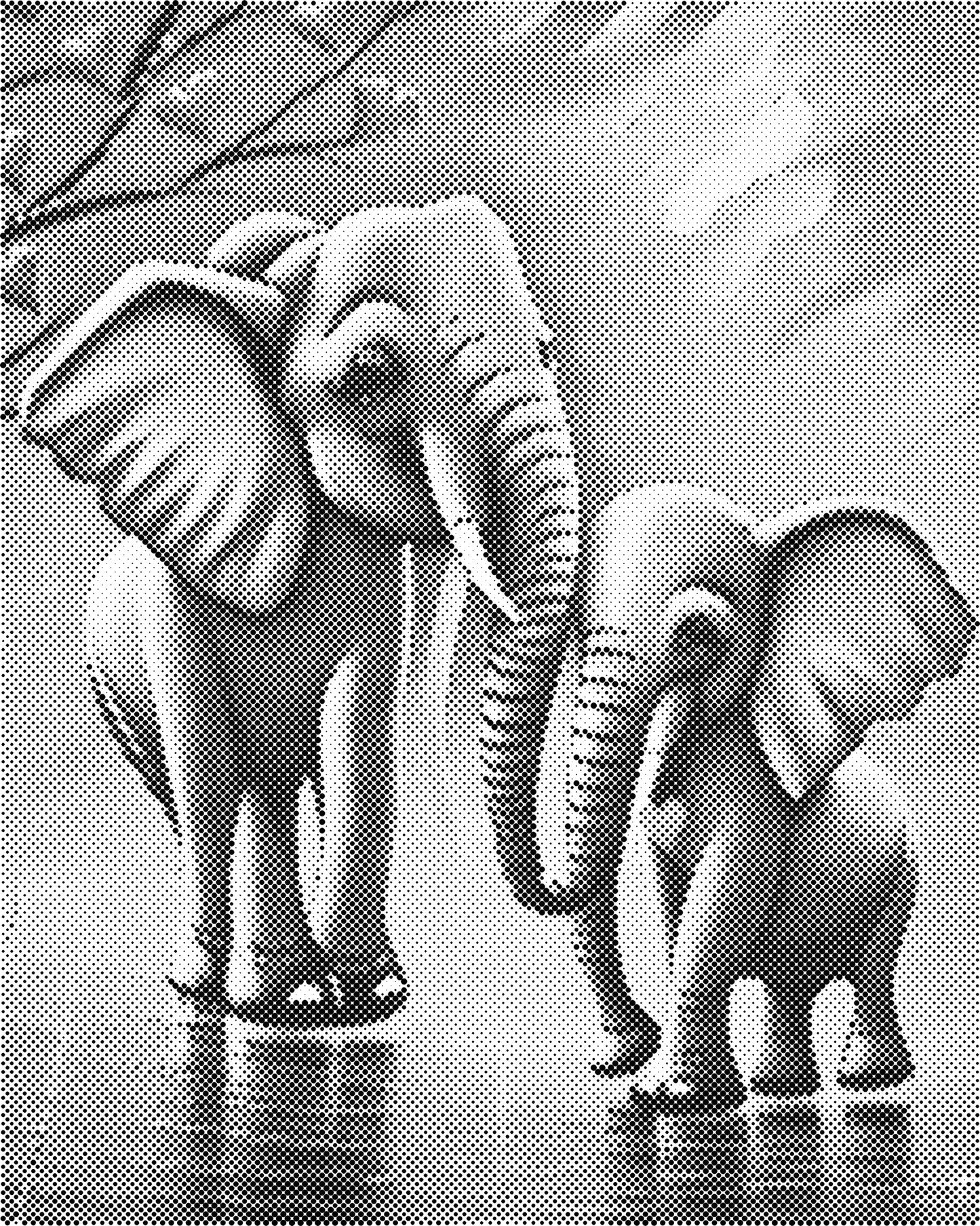 DOT Painting - Dieren op Canvas (40x50cm / 60x75cm)