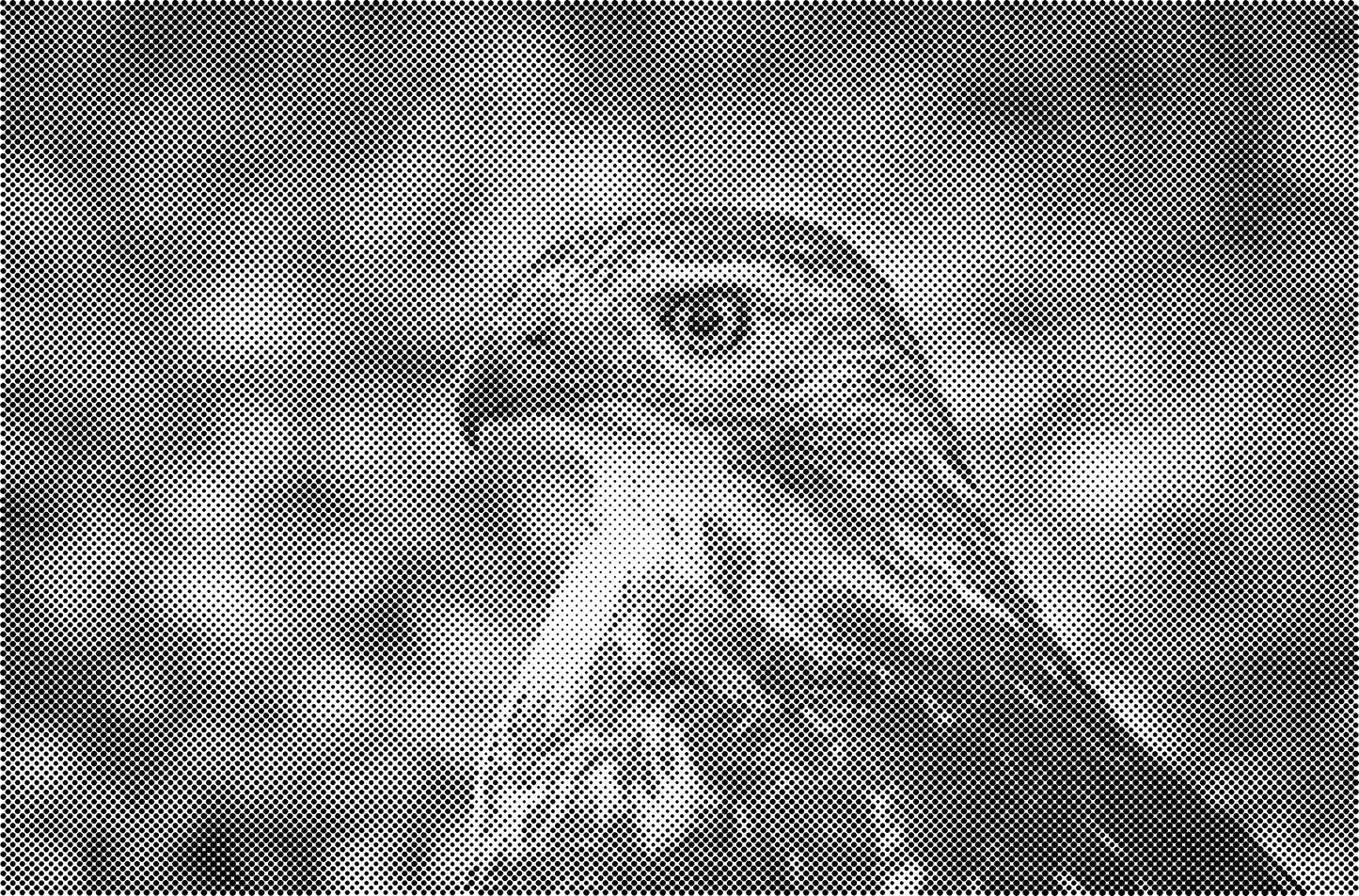 DOT Painting Honden, Eenden en Vogels - Verkrijgbaar in 40x60cm, 50x75cm, en 60x90cm