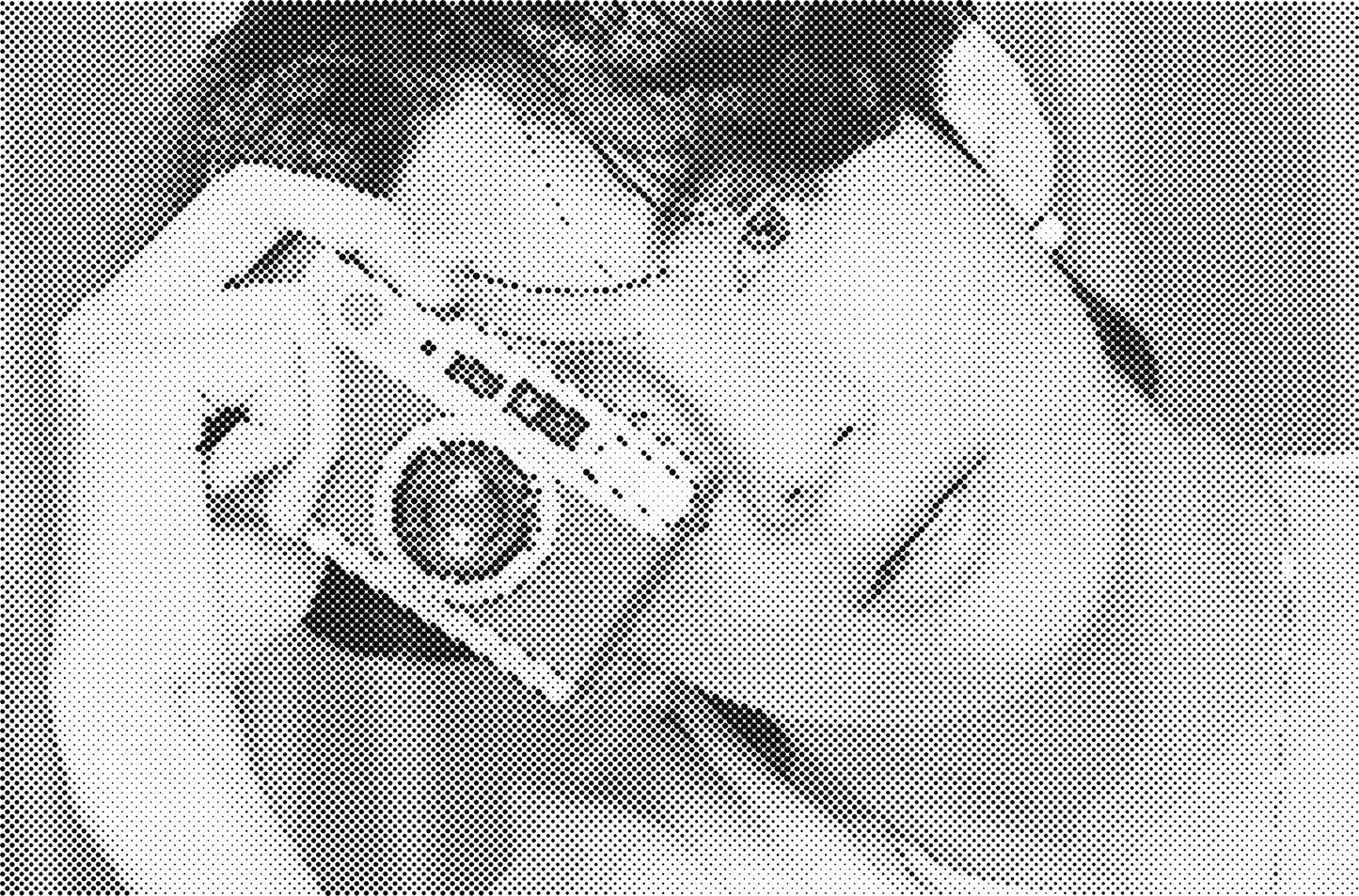 DOT Painting Portretten - Canvas (40x60cm, 50x75cm, 60x90cm)