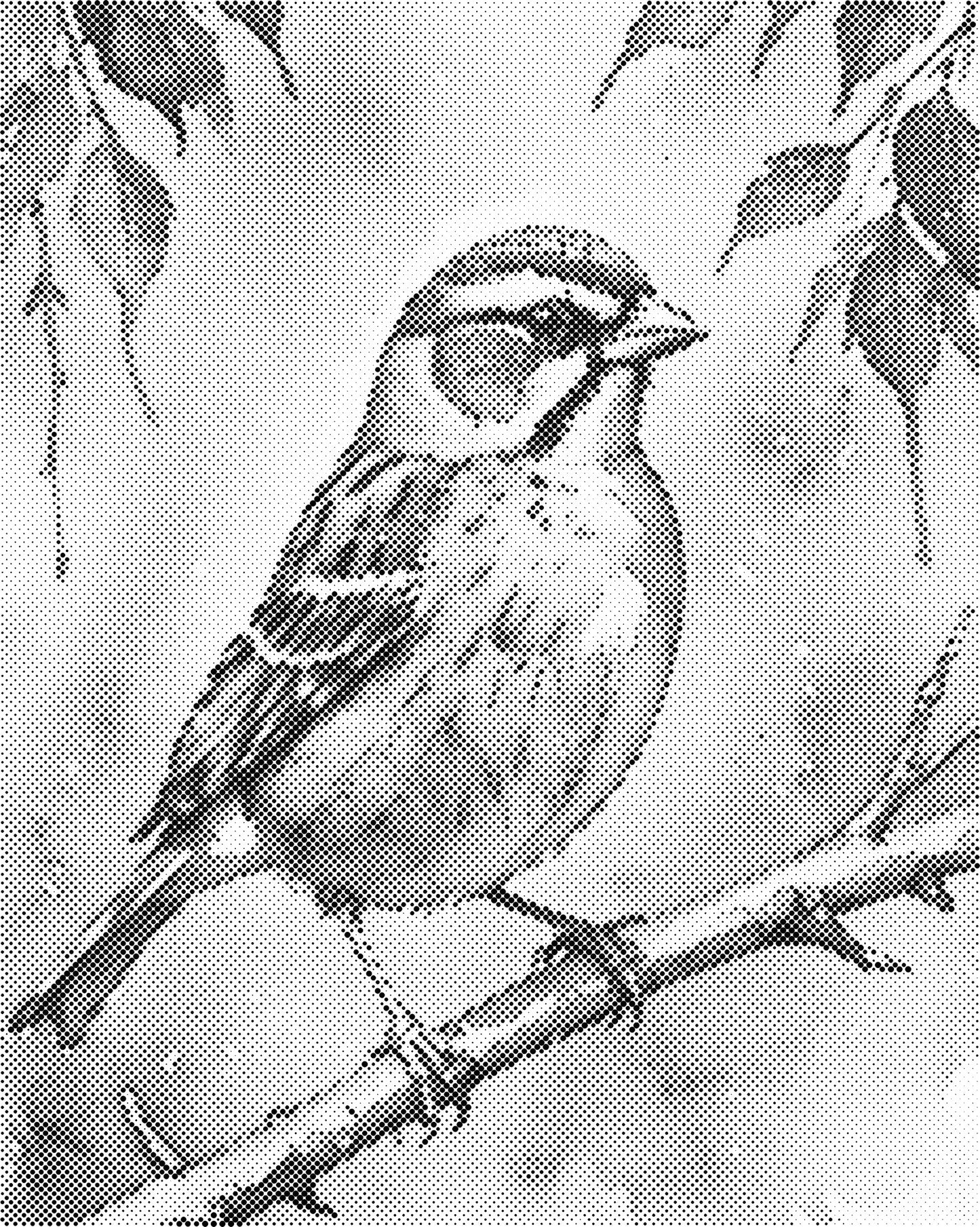 DOT Painting – Dieren op Canvas (40x50cm of 60x75cm) – Met of zonder stiften