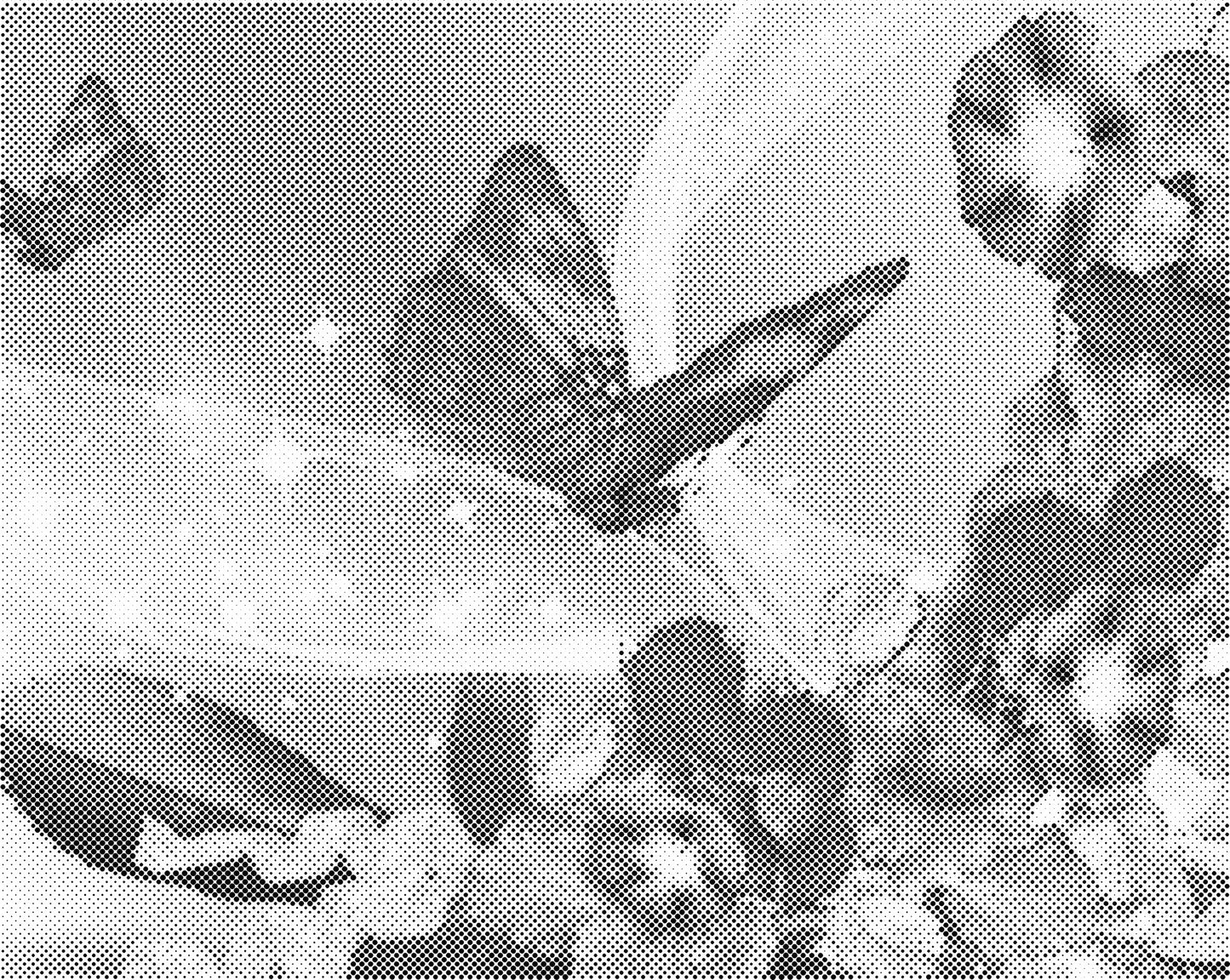 DOT Painting Vlinder - Magical Insects