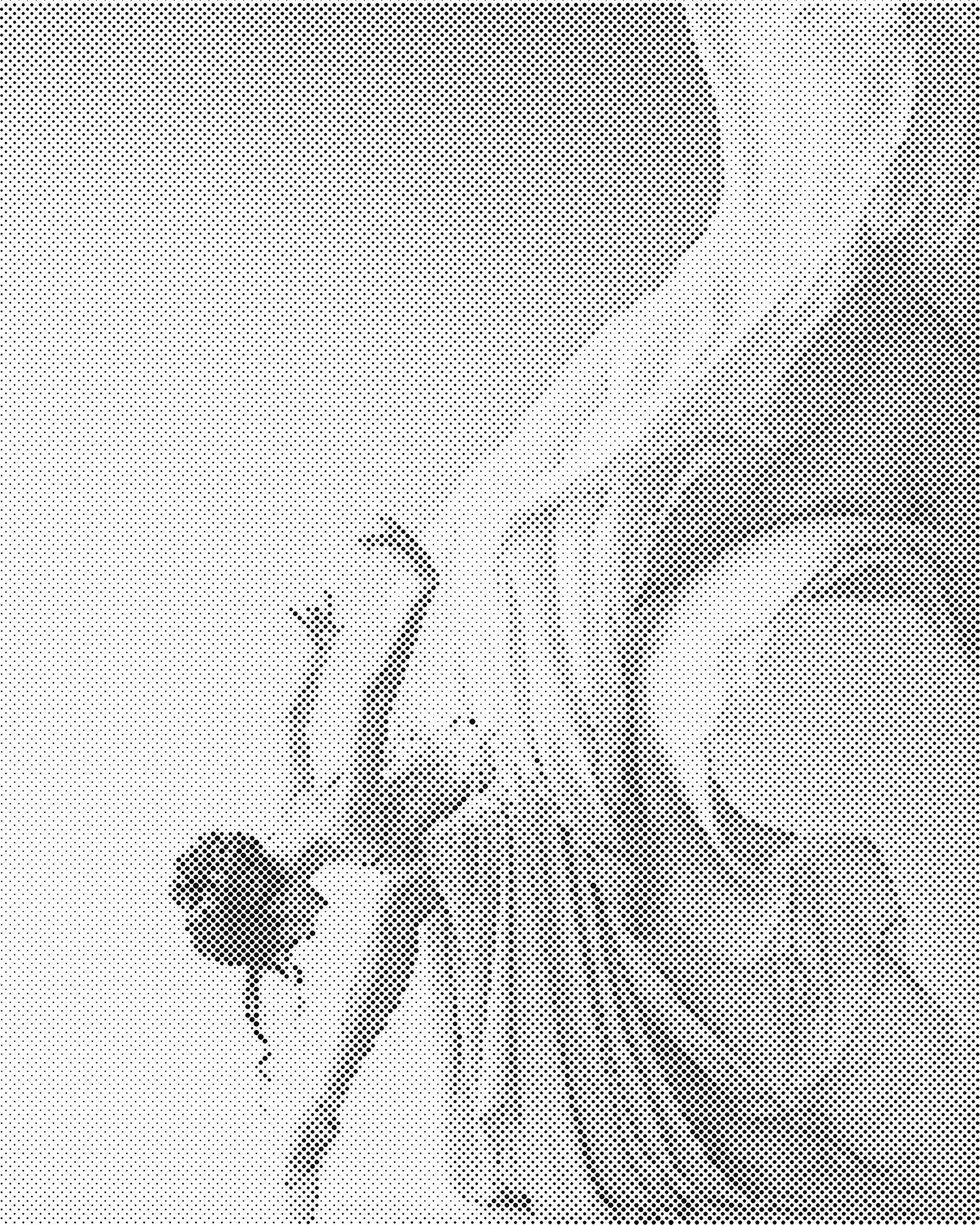 DOT Painting: Eenkleurige Stippelkunst Portretten