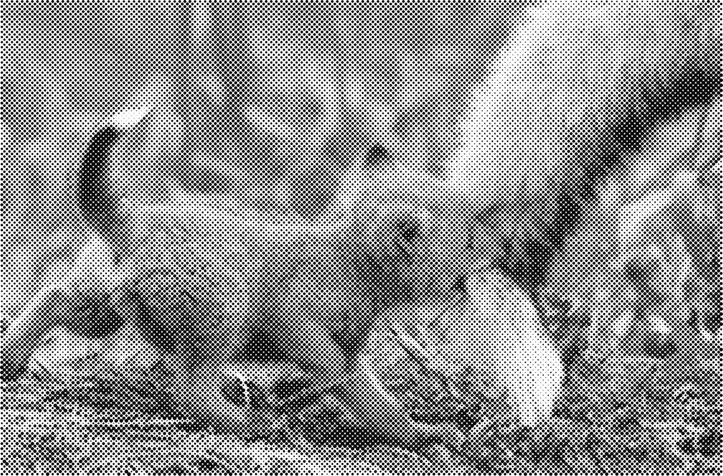 DOT Painting Dieren - (Paarden, Giraf, Vogels) - Verkrijgbaar in 40x60cm, 50x75cm, 60x90cm