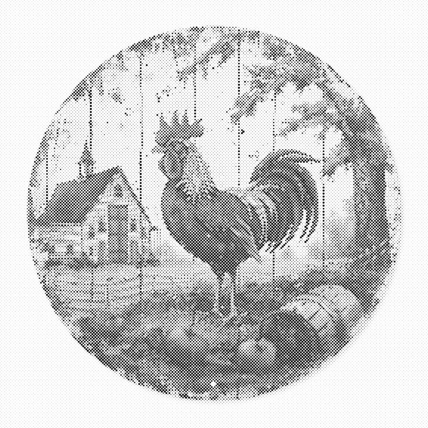 DOT Painting – Kippen & Hanen (40x40cm, 50x50cm of 60x60cm)