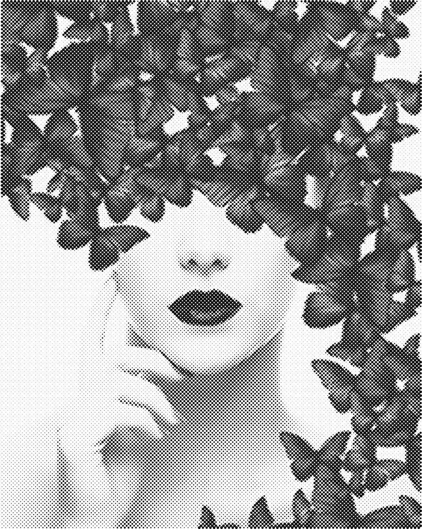 DOT Painting: Eenkleurige Stippelkunst Portretten