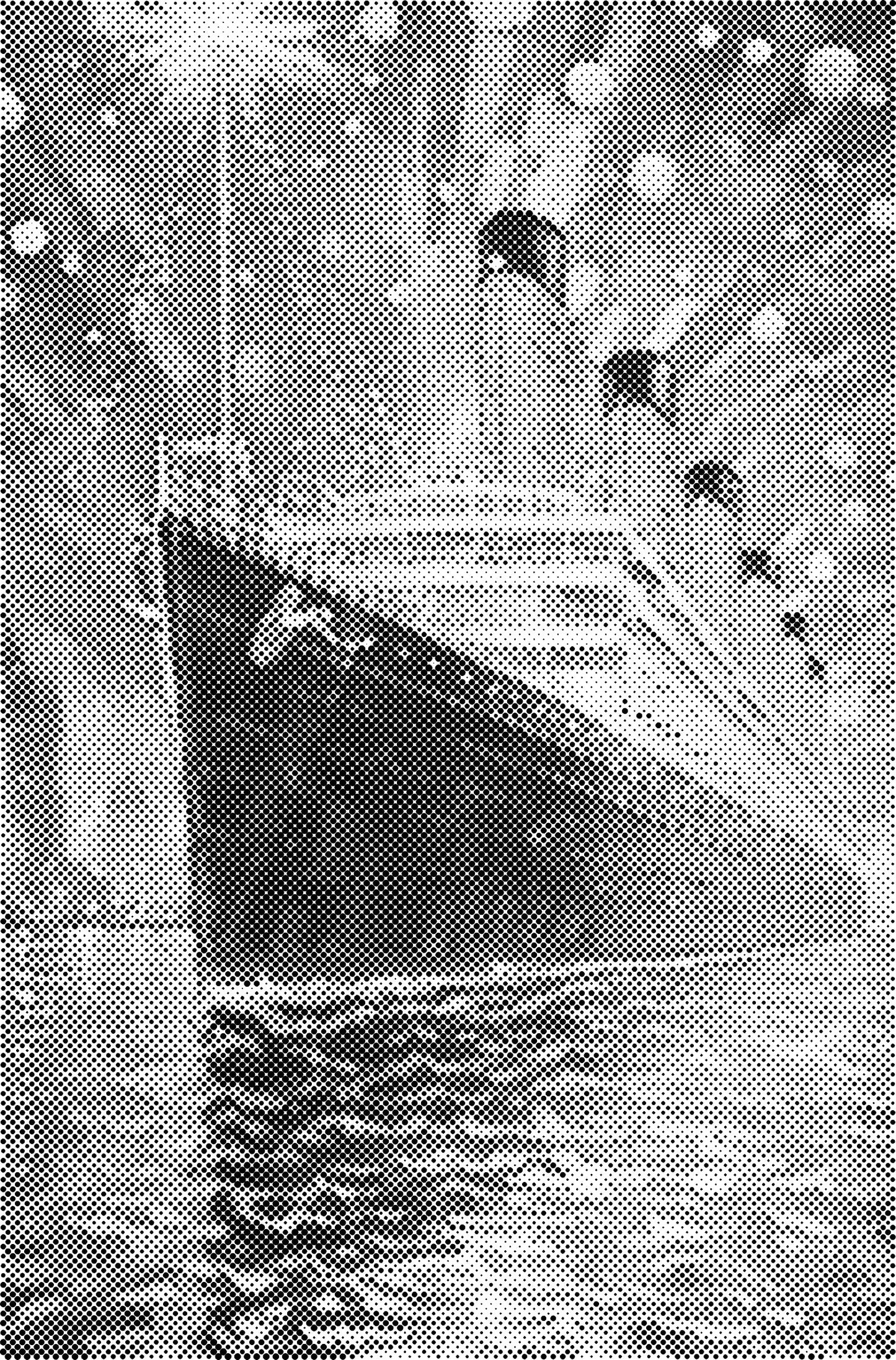 DOT Painting Landschappen en Gebouwen – Voorbedrukt Canvas (40x60cm, 50x75cm, 60x90cm)