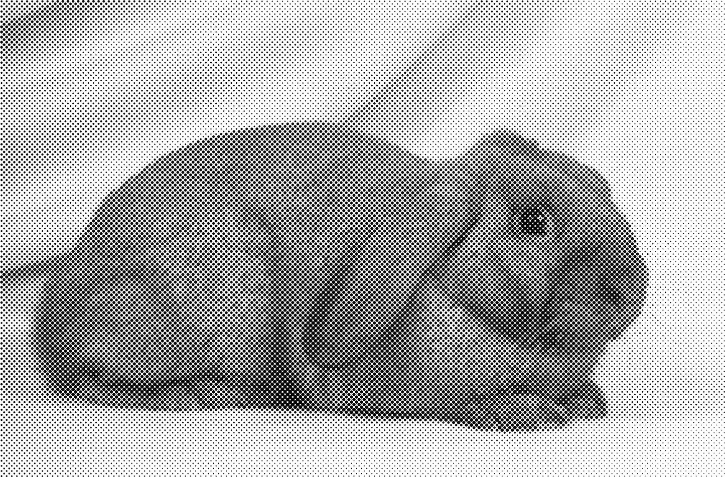 DOT Painting Dieren - Konijnen, Puppies en Katten - Verkrijgbaar in 40x60cm, 50x75cm en 60x90cm