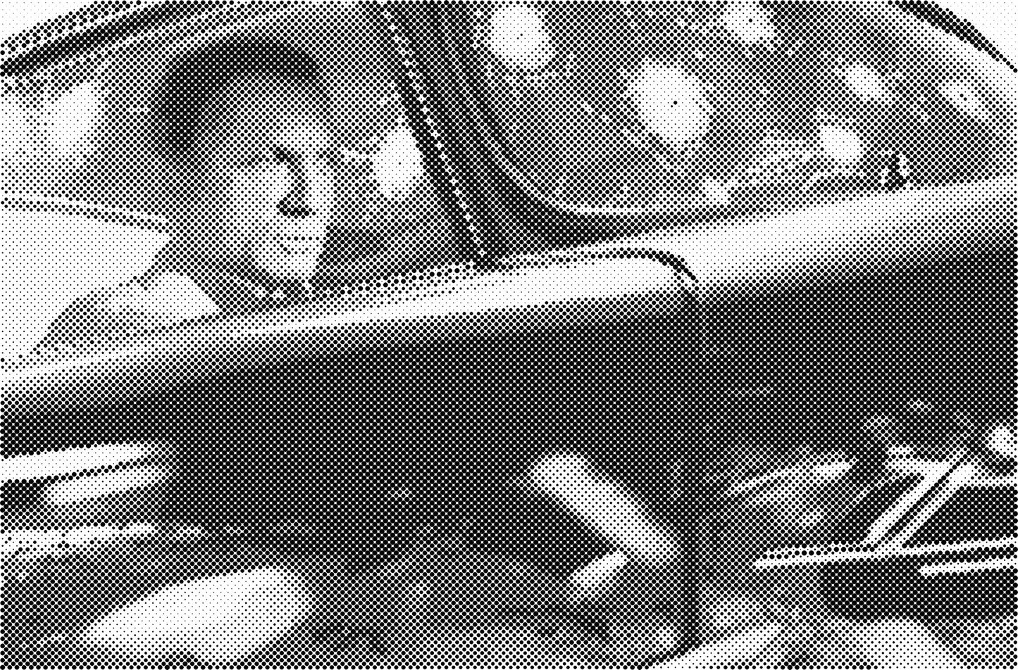 DOT Painting Portretten - Canvas (40x60cm, 50x75cm, 60x90cm)