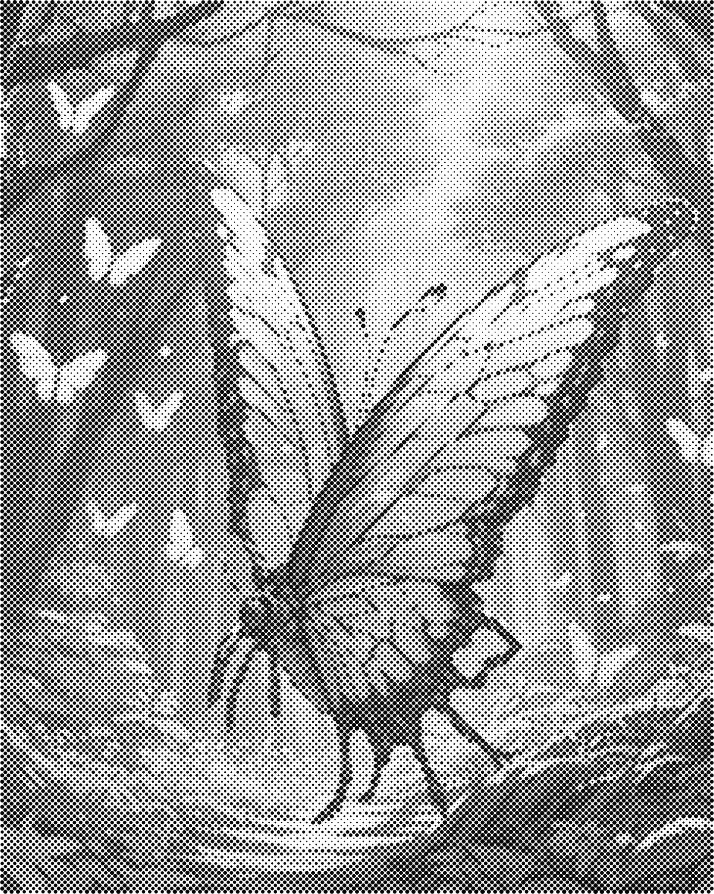 DOT Painting Vlinder - Magical Insects