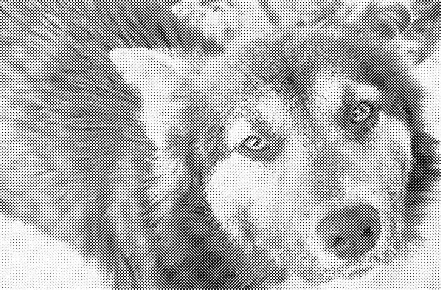 DOT Painting Honden, Eenden en Vogels - Verkrijgbaar in 40x60cm, 50x75cm, en 60x90cm