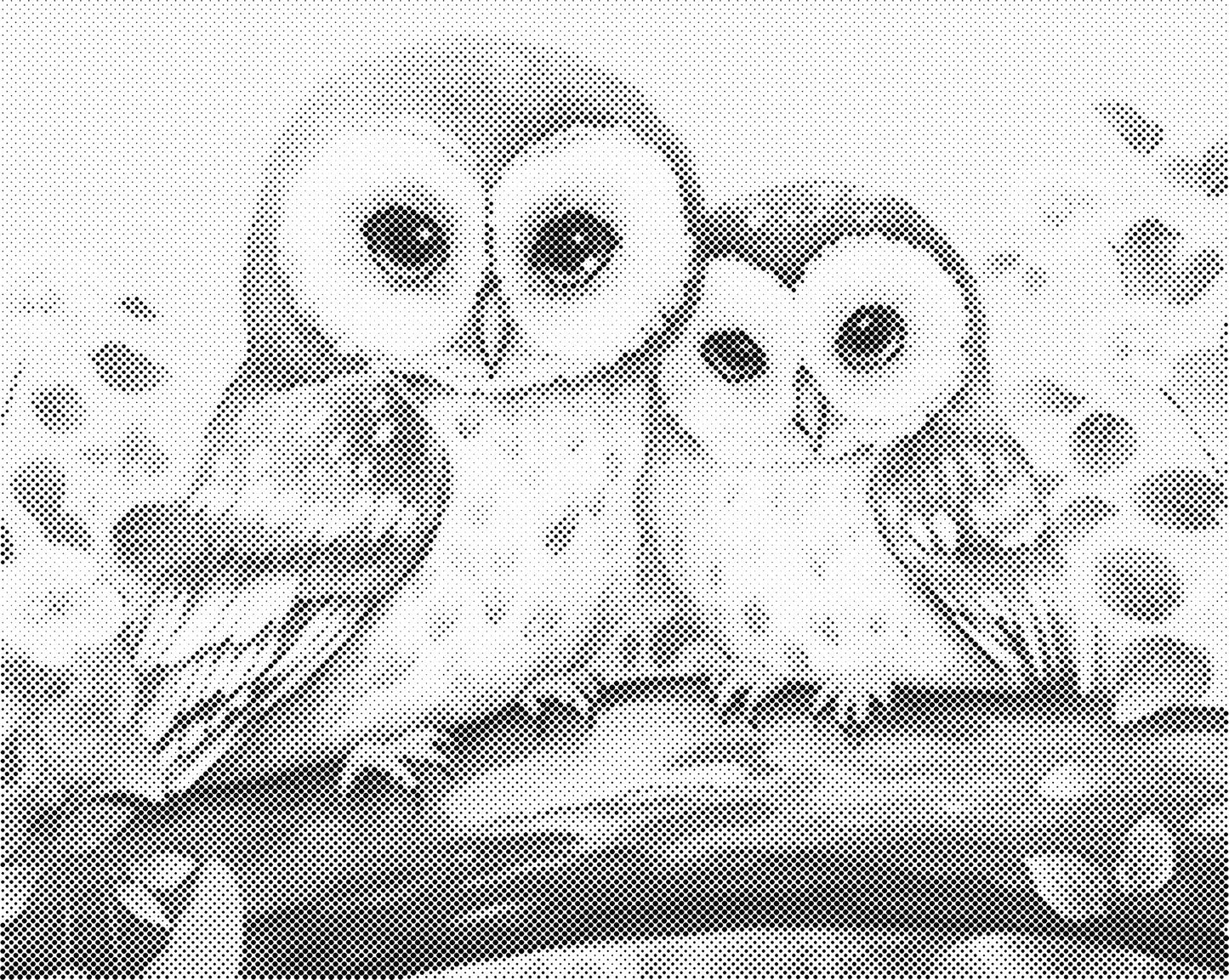 DOT Painting - Dieren op Canvas (40x50cm / 60x75cm)