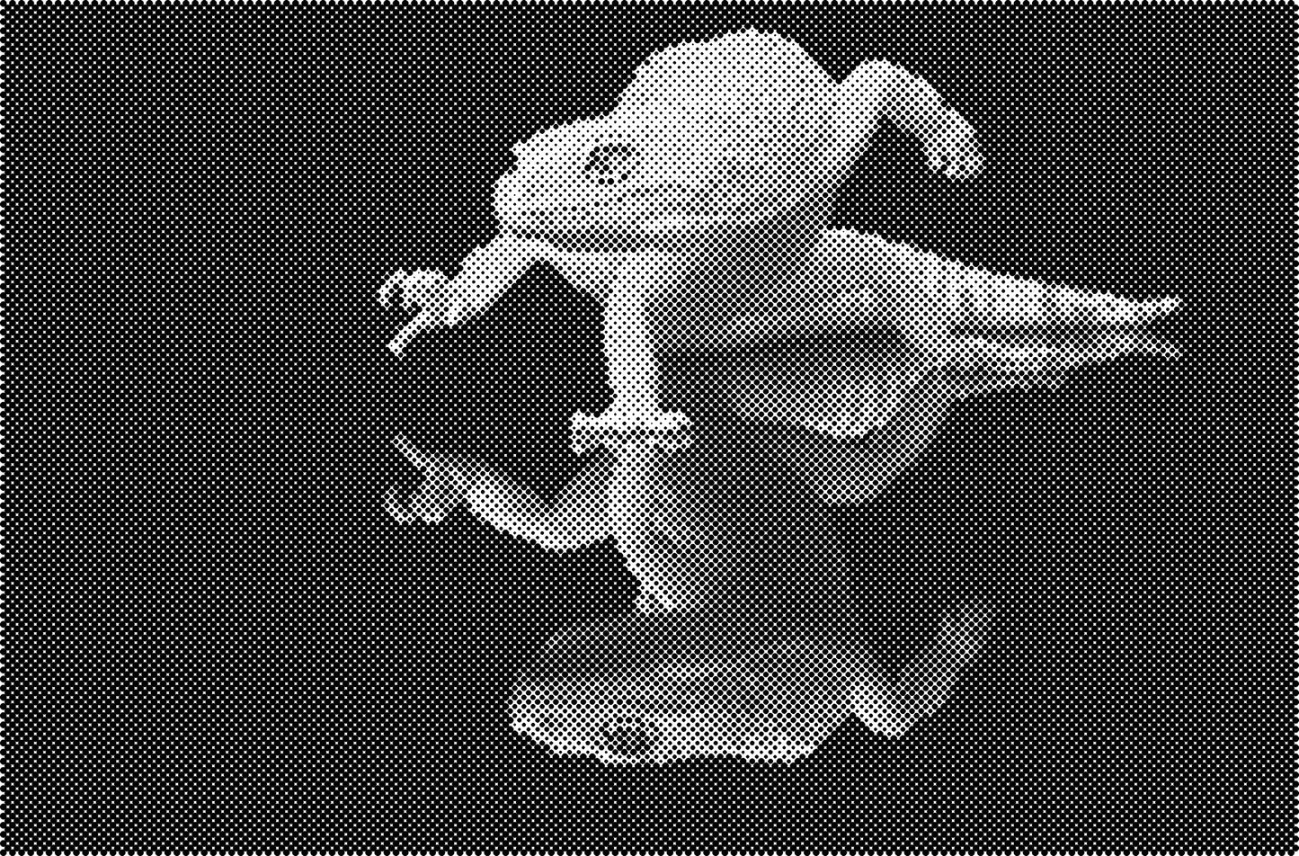 DOT Painting Dieren - (Paarden, Giraf, Vogels) - Verkrijgbaar in 40x60cm, 50x75cm, 60x90cm