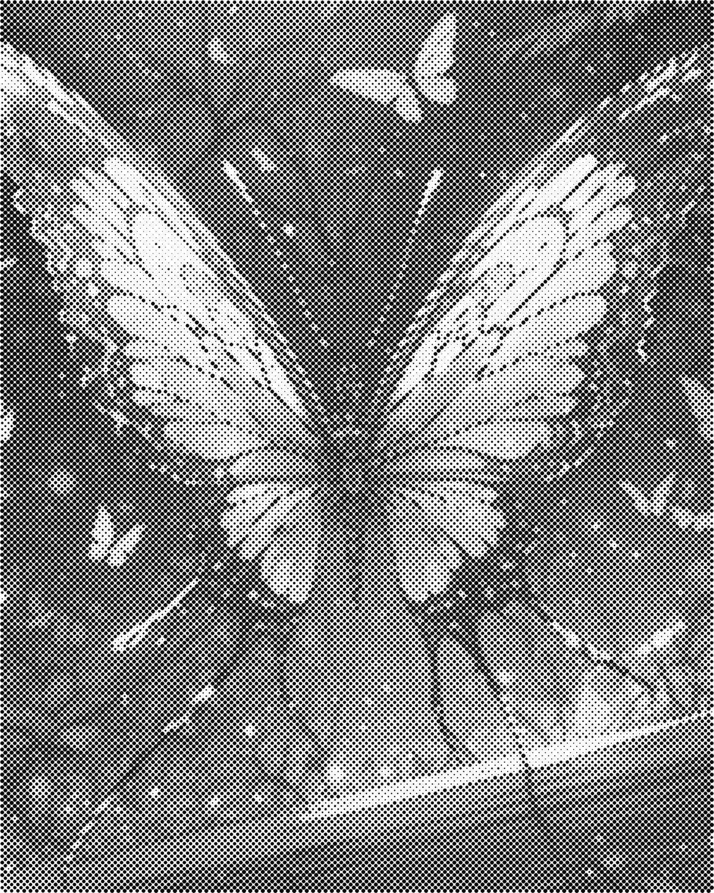 DOT Painting Vlinder - Magical Insects