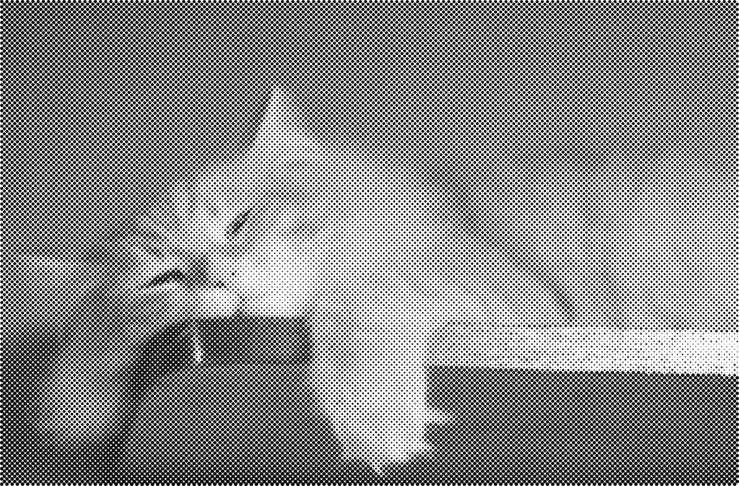 DOT Painting Dieren - Katten en Vogels