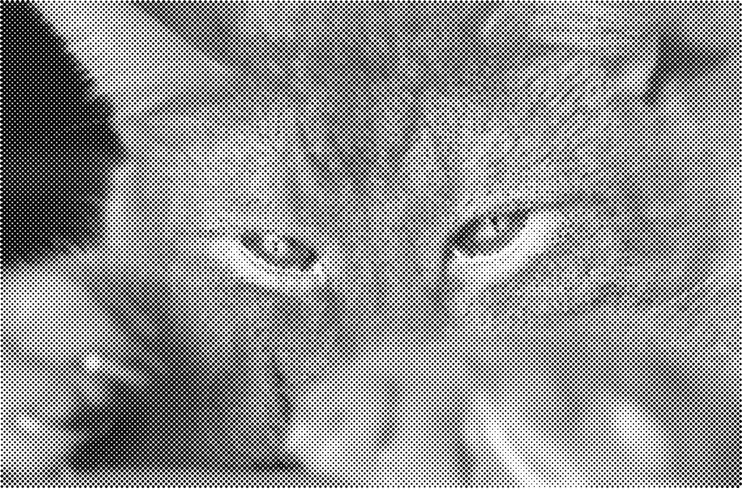 DOT Painting Kattenrassen